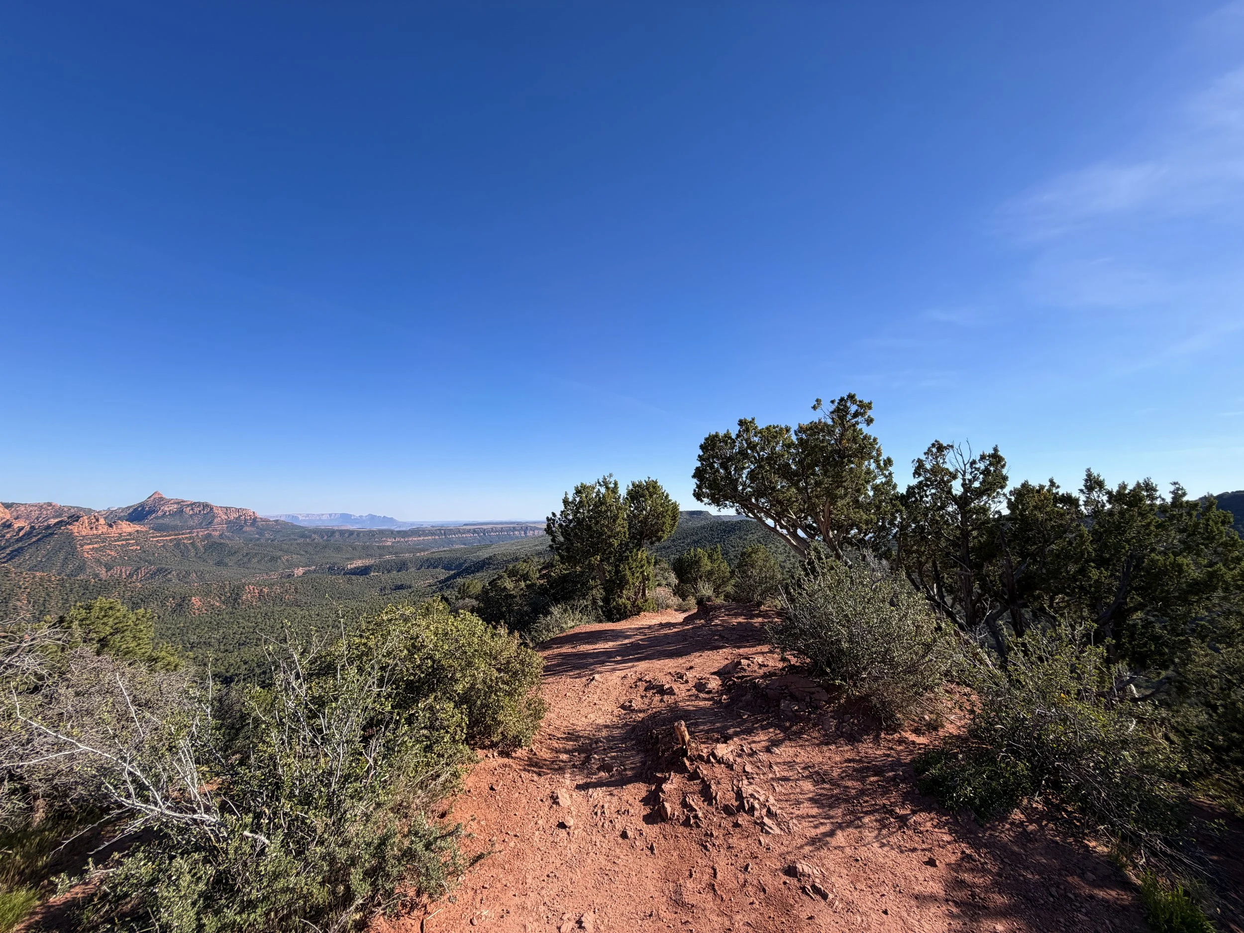 Timber Creek Overlook Trail Zion National Park Utah