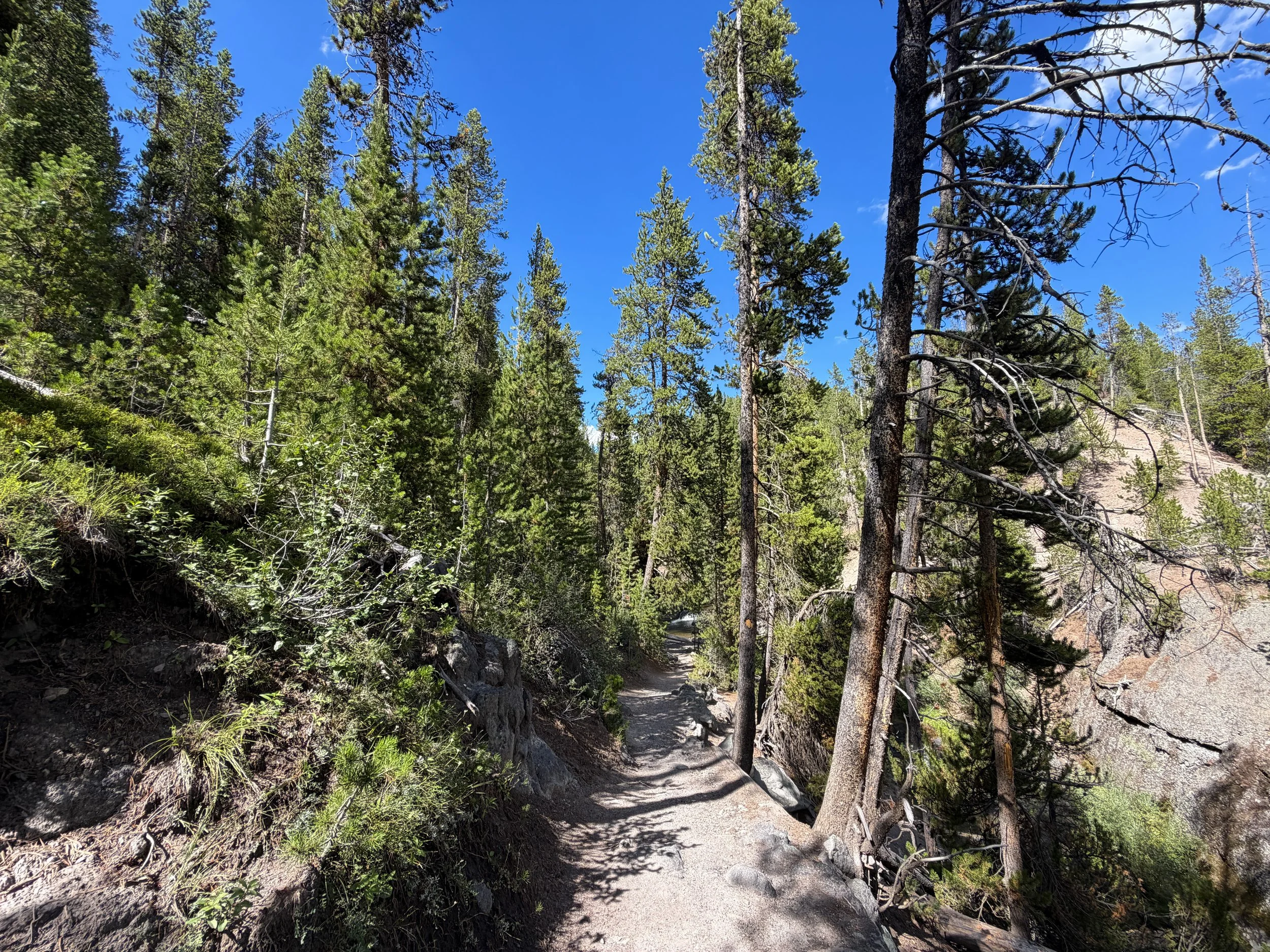 North Rim Trail Yellowstone National Park Wyoming