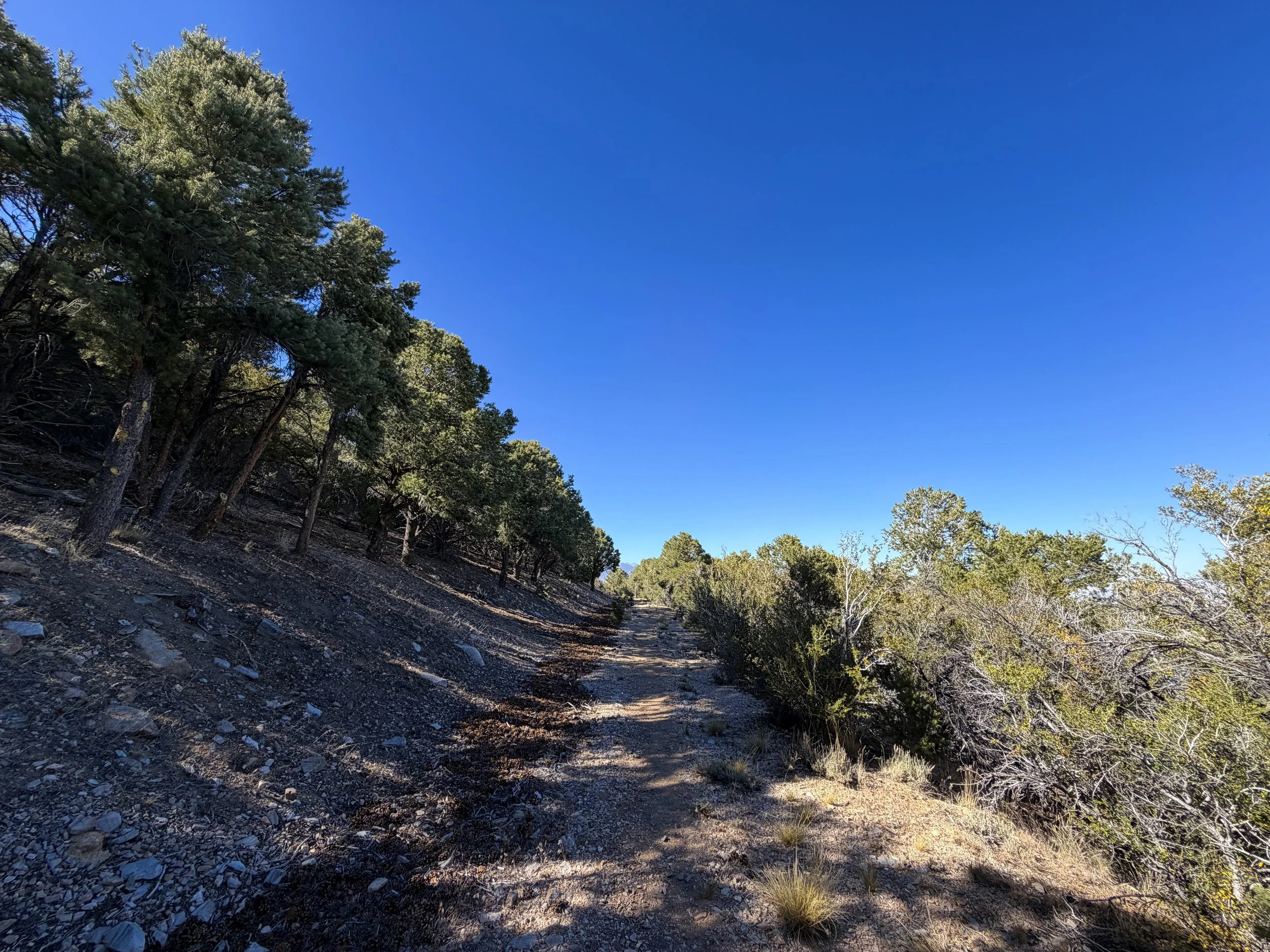 Osceola Ditch Trail Great Basin National Park Nevada
