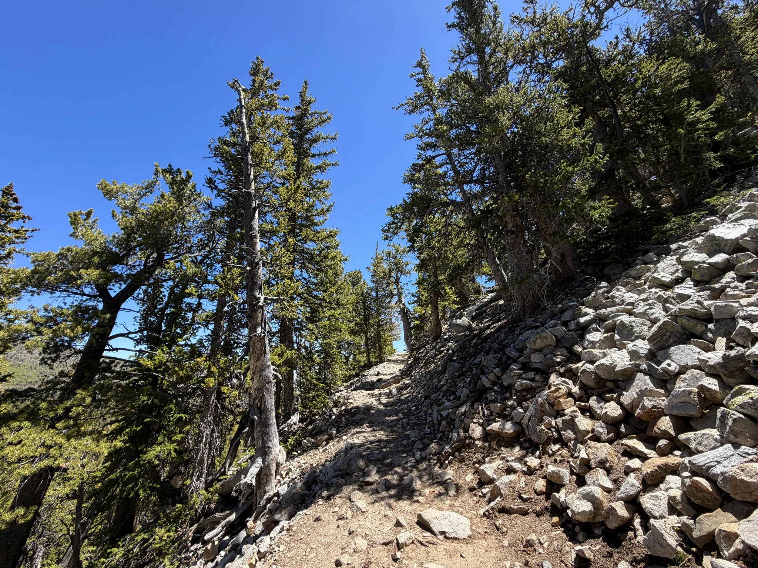 Bristlecone Pine Trail Great Basin National Park Nevada