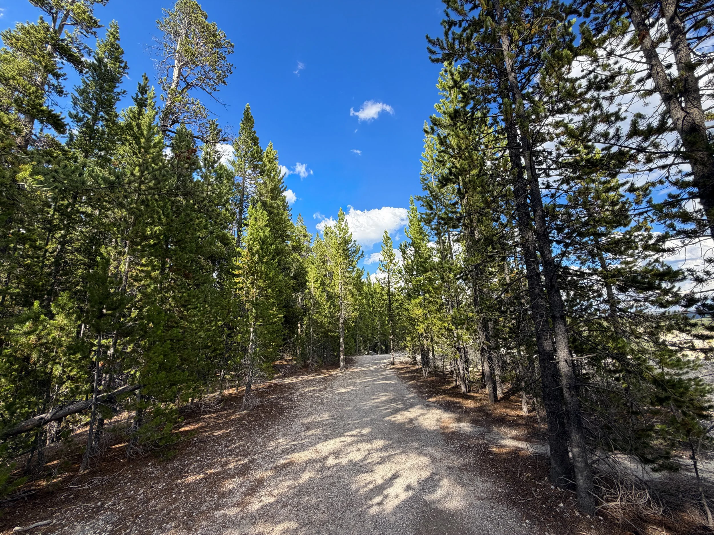 North Rim Trail Yellowstone National Park Wyoming