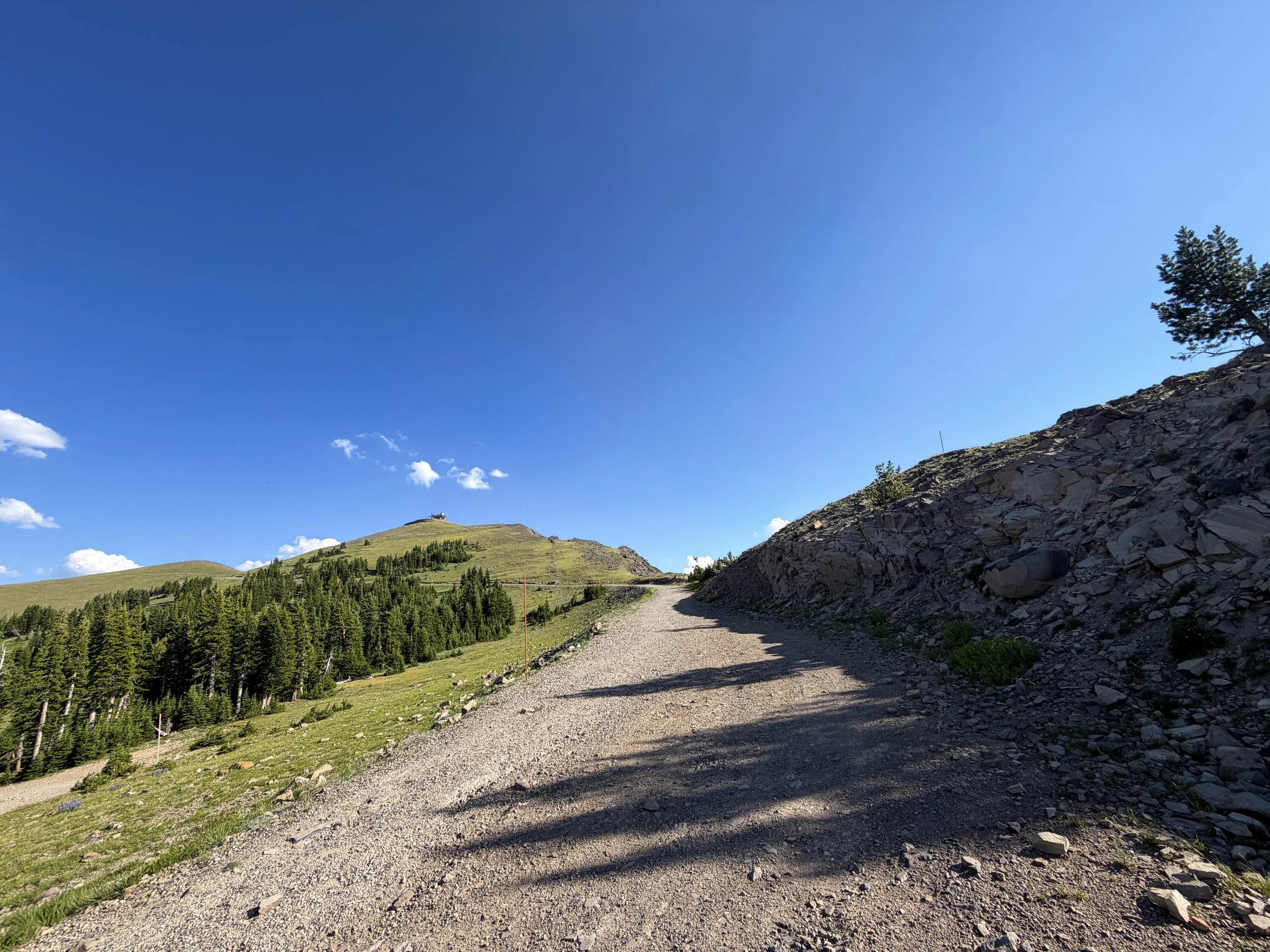 Mount Washburn Hike via Chittenden Road Yellowstone National Park Wyoming