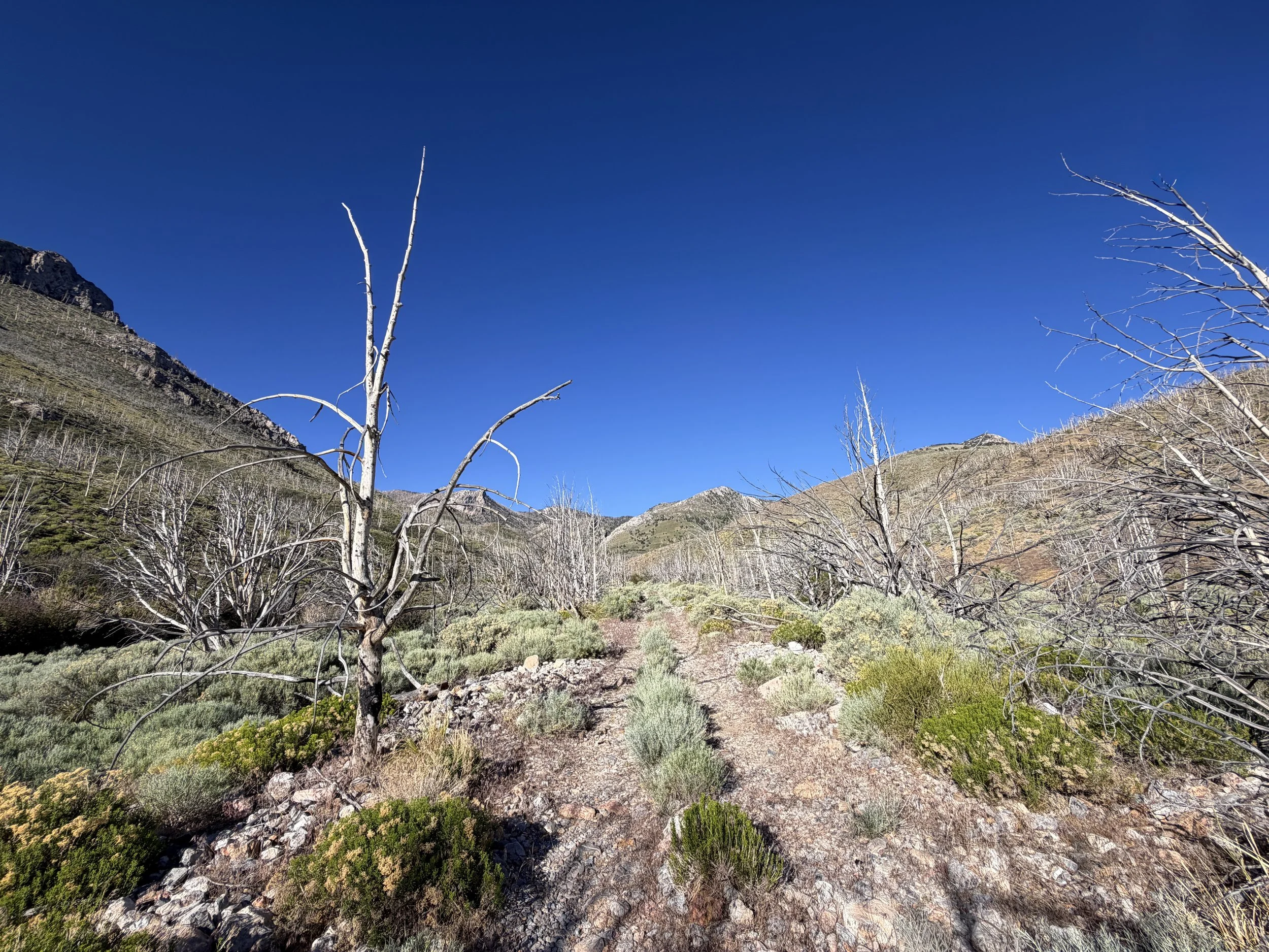 Lexington Arch Trail Great Basin National Park Nevada