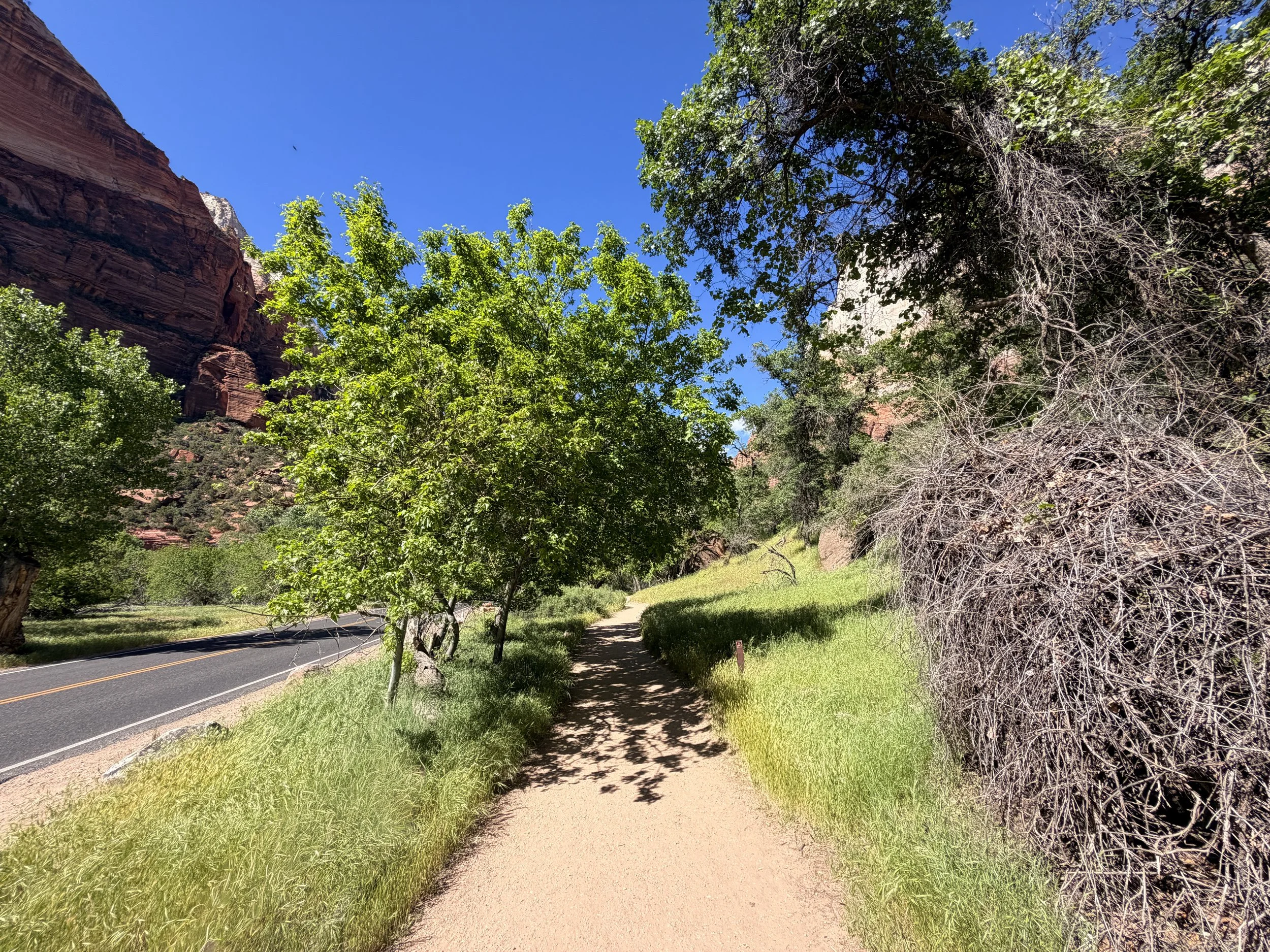 Grotto Hike Zion National Park Utah