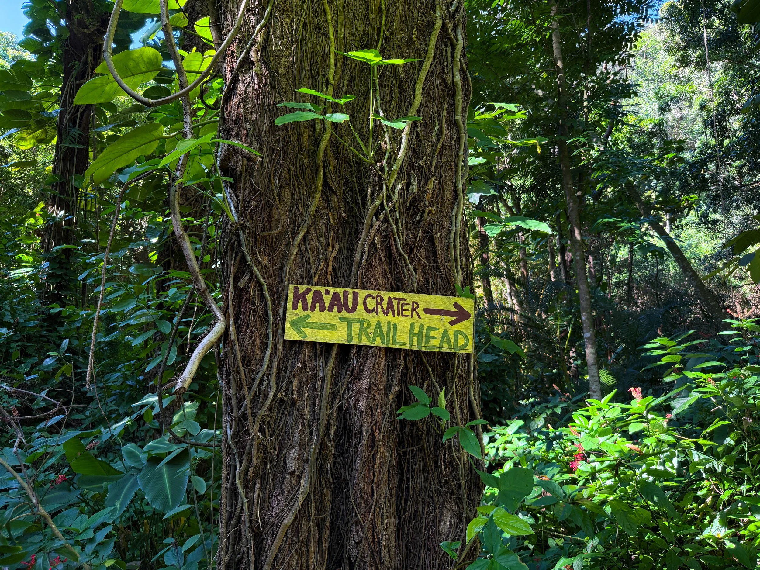 Kaau Crater Trail Oahu Hawaii