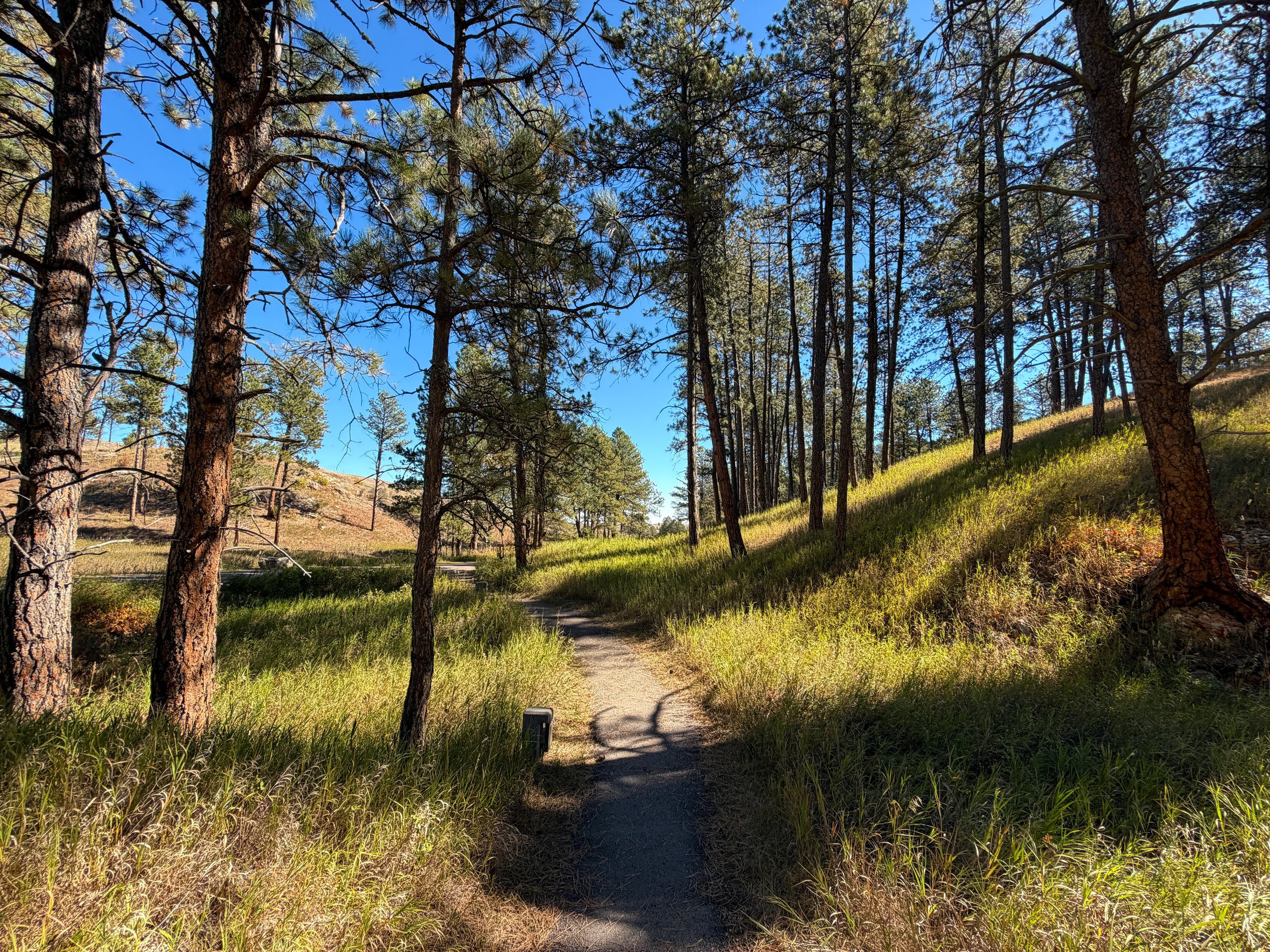 Elk Mountain Trail Wind Cave National Park South Dakota