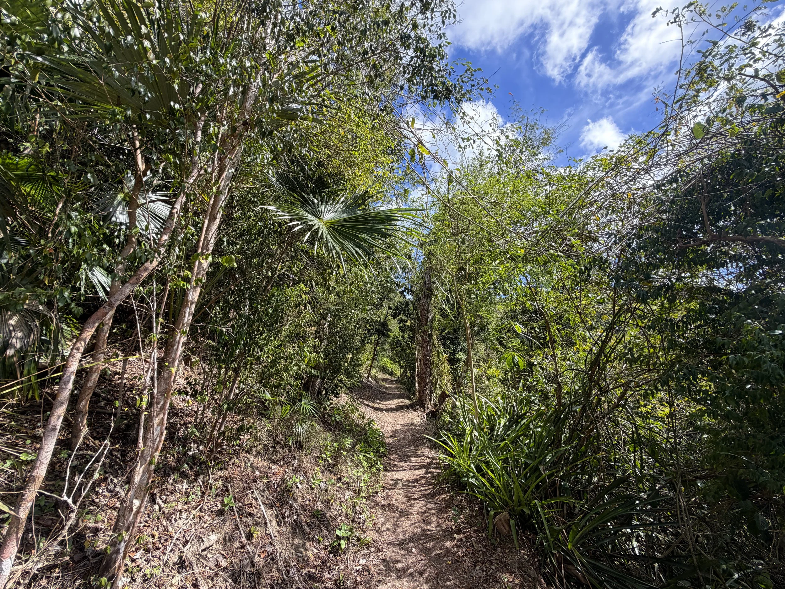 Cinnamon Bay Trail Virgin Islands National Park