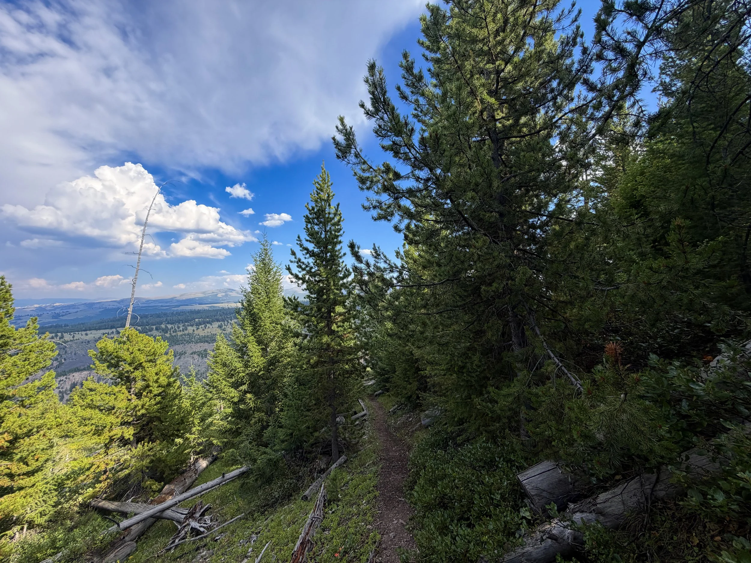 Bunsen Peak Trail Yellowstone National Park Wyoming