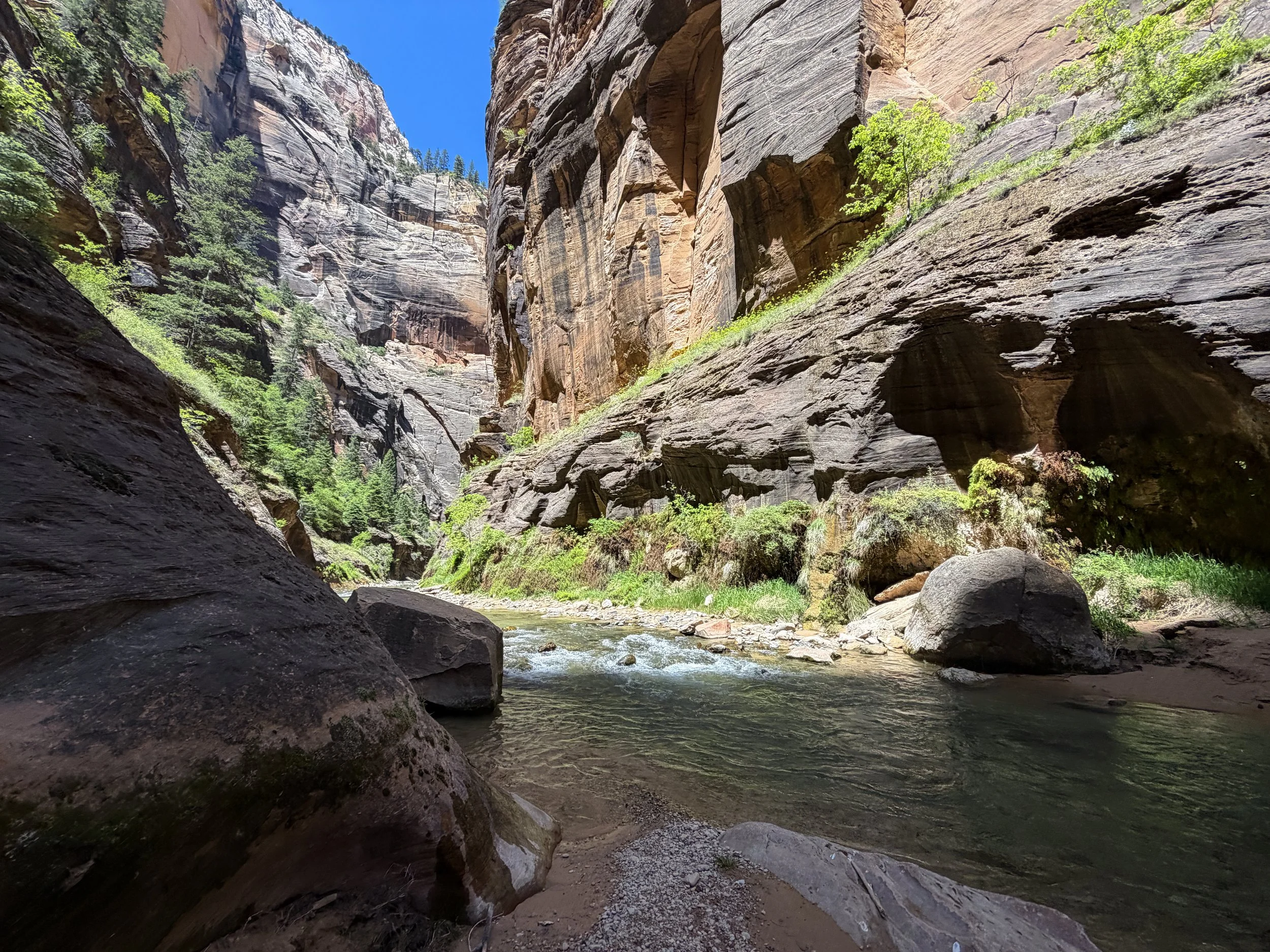 Narrows Hike Zion National Park Utah