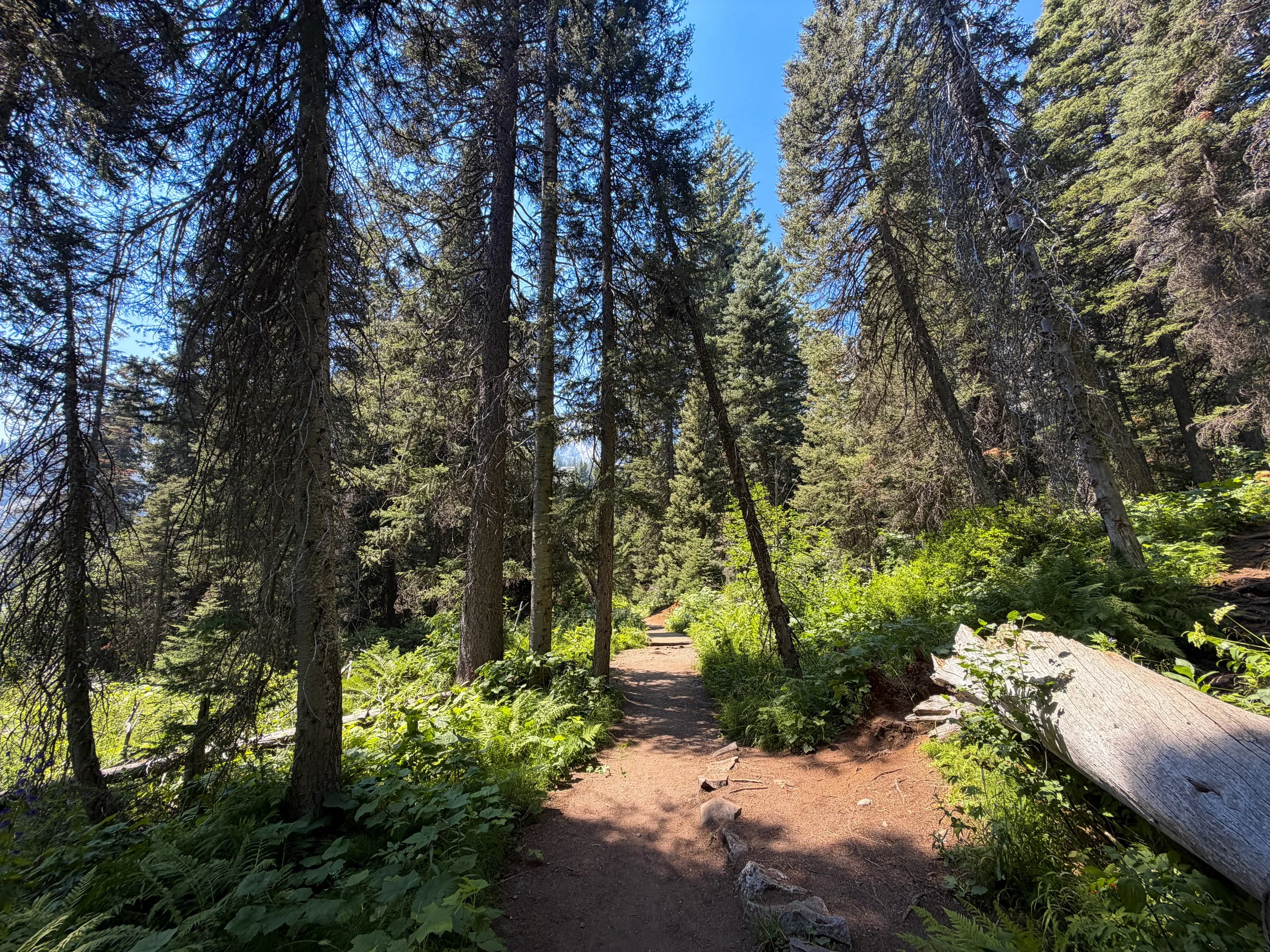 Lake of the Crags Trailhead Grand Teton National Park Wyoming