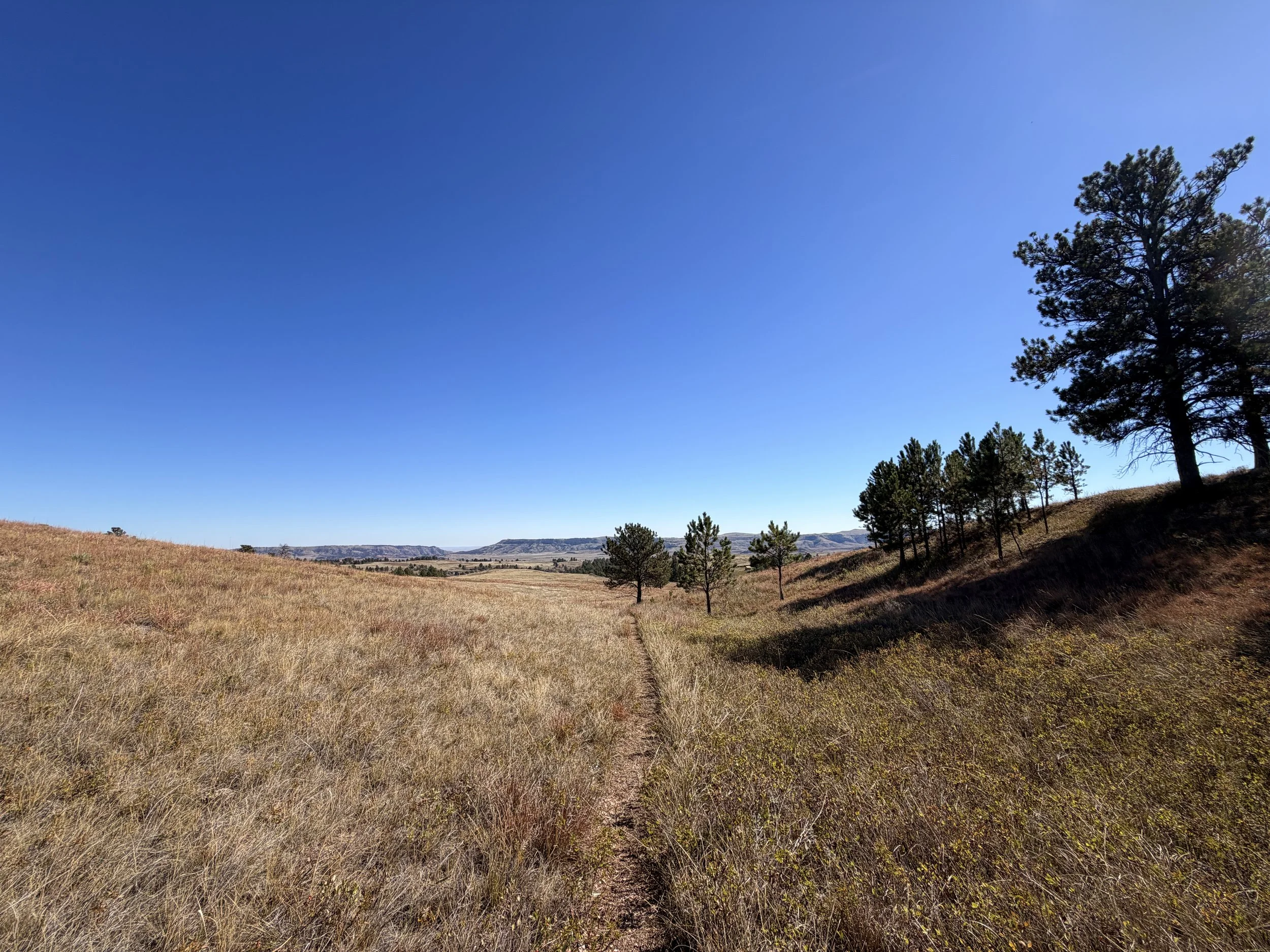 East Bison Flats Trail Wind Cave National Park South Dakota