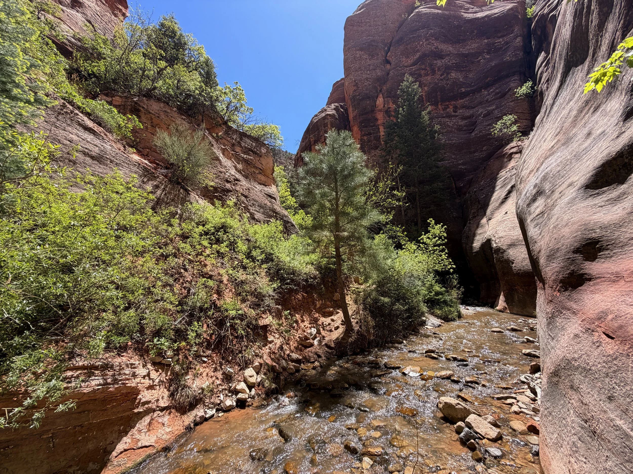 Kanarra Falls Trail Kanarraville Utah