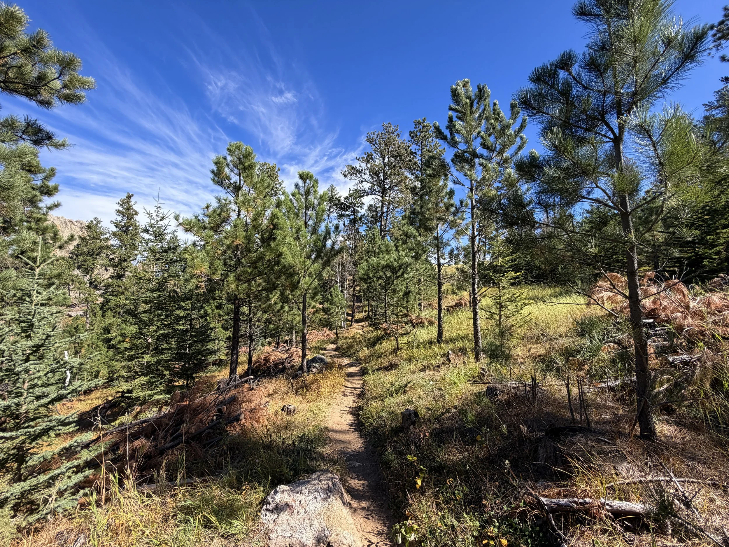 Sunday Gulch Trail Custer State Park Black Hills South Dakota