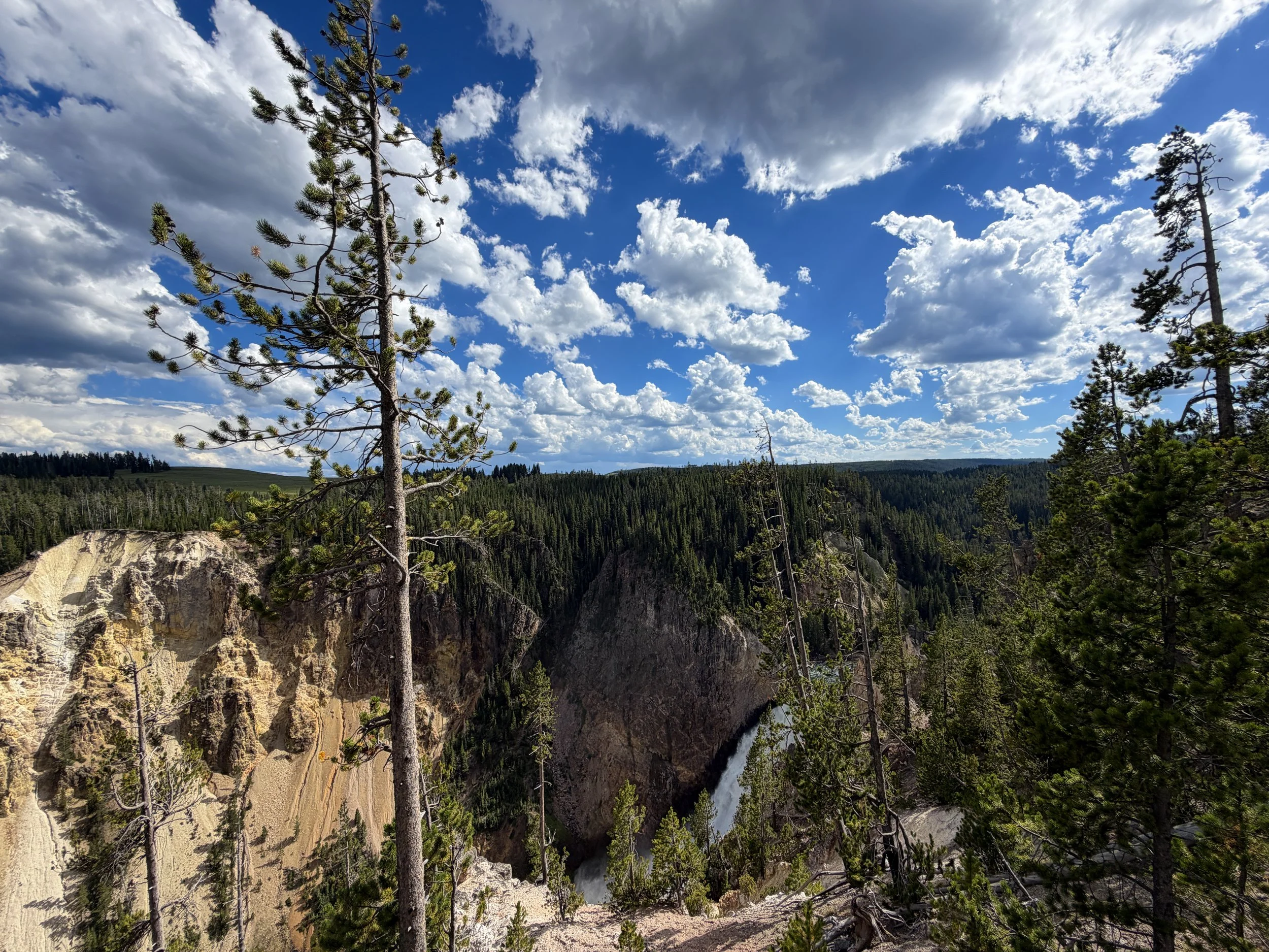 Lower Yellowstone Falls Yellowstone National Park Wyoming