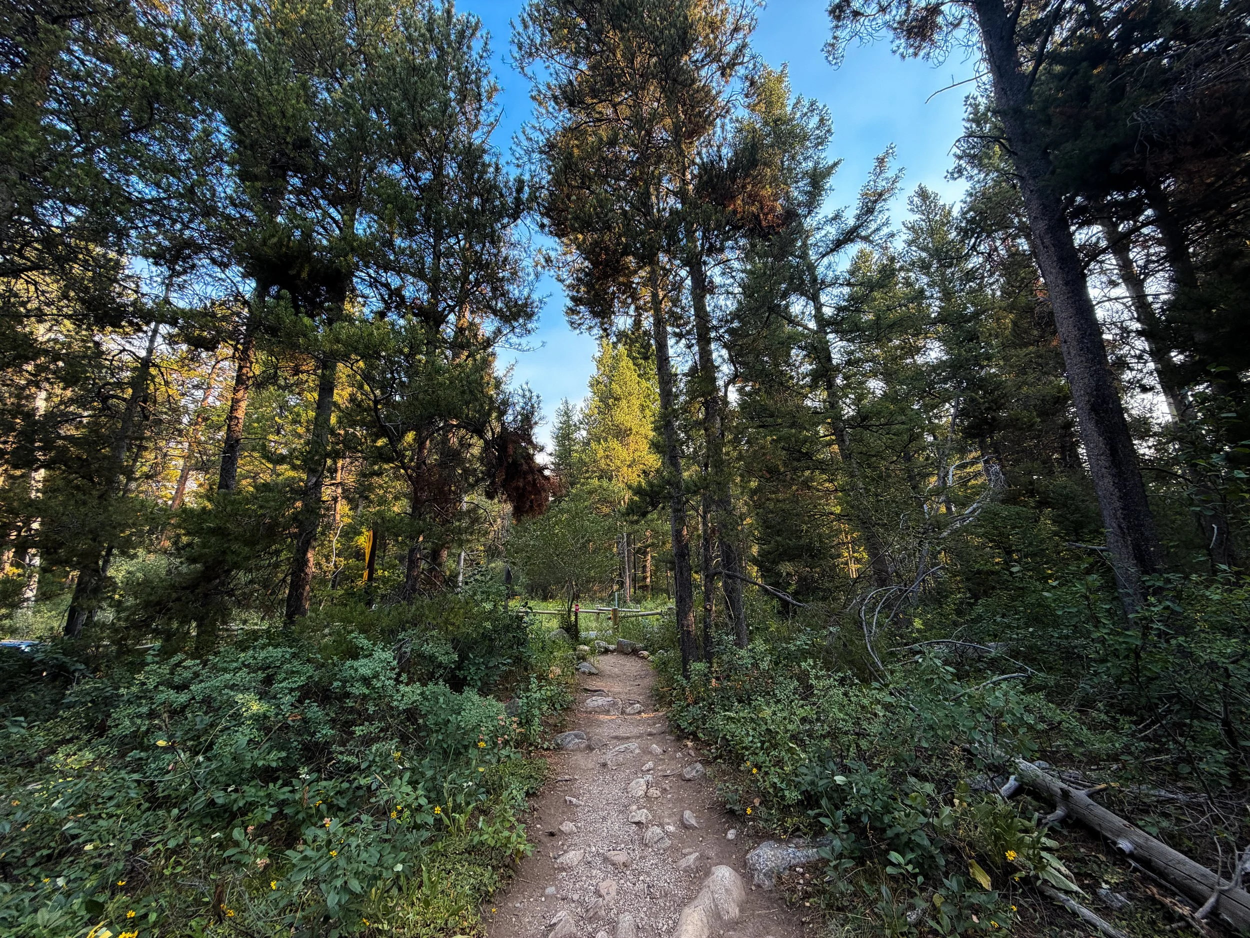 Boulder Ridge Loop Trail Grand Teton National Park Wyoming