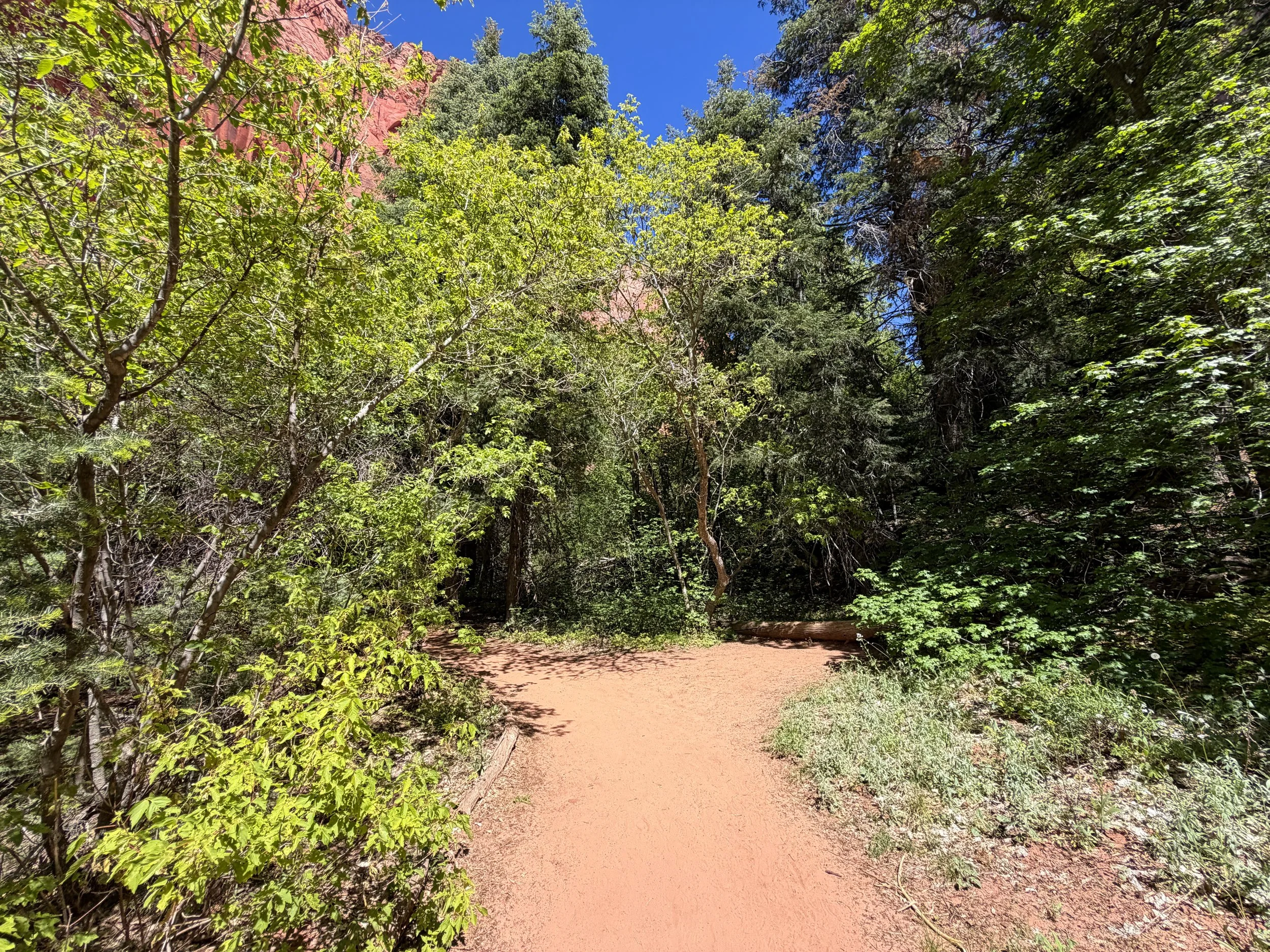 Taylor Creek Trail Zion National Park Utah
