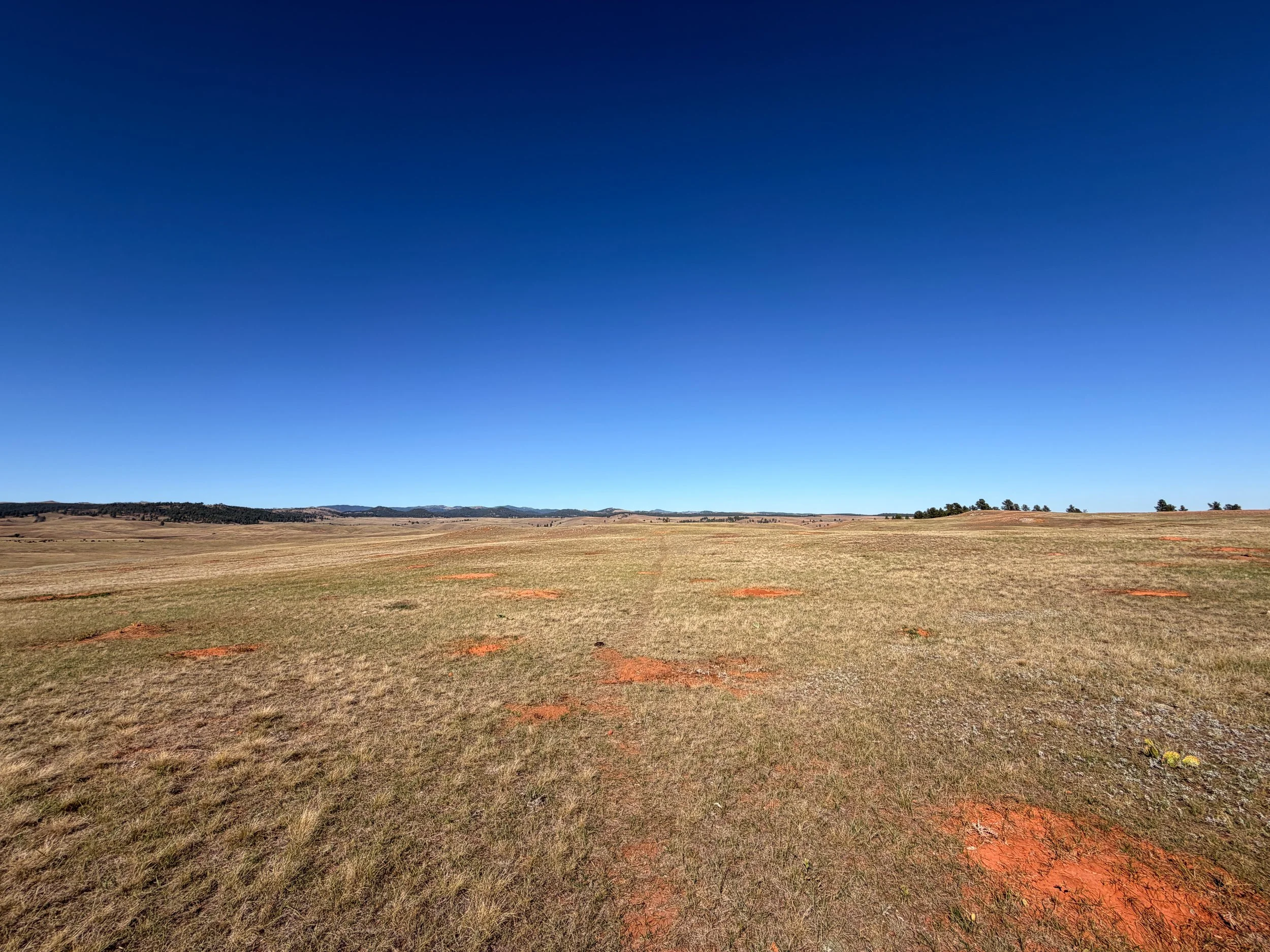 East Bison Flats Trail Wind Cave National Park South Dakota