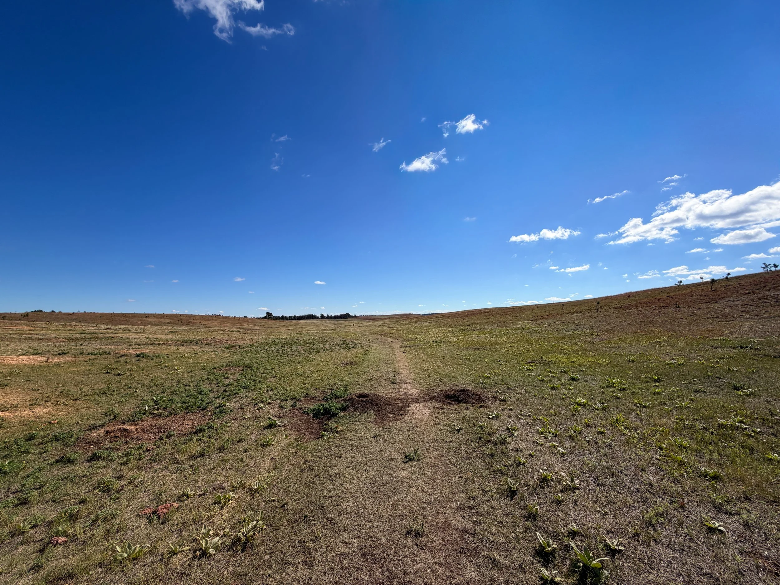 Lookout Point Hike Wind Cave National Park South Dakota