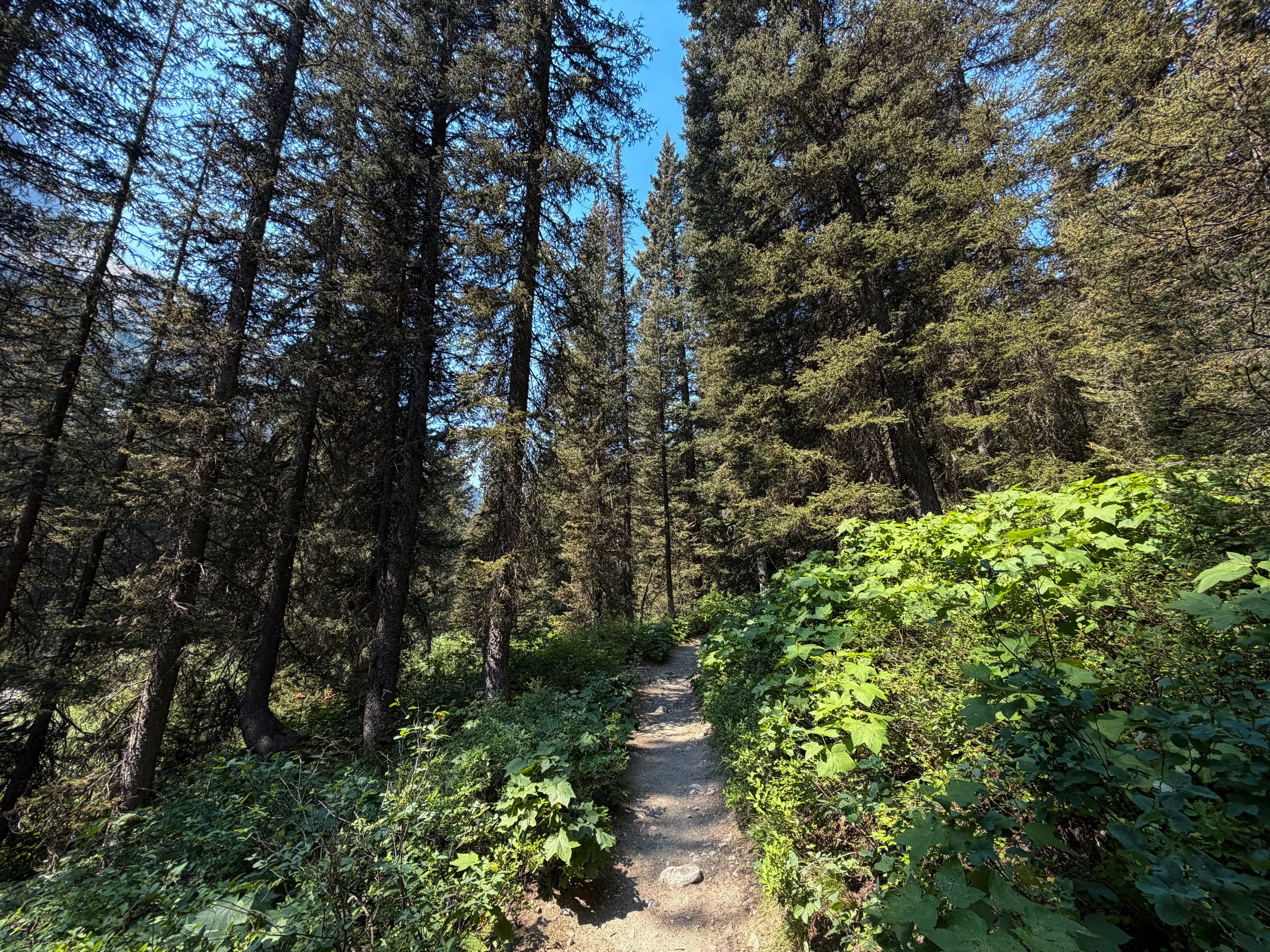 Cascade Canyon Trail to Teton Crest Trail Grand Teton National Park Wyoming