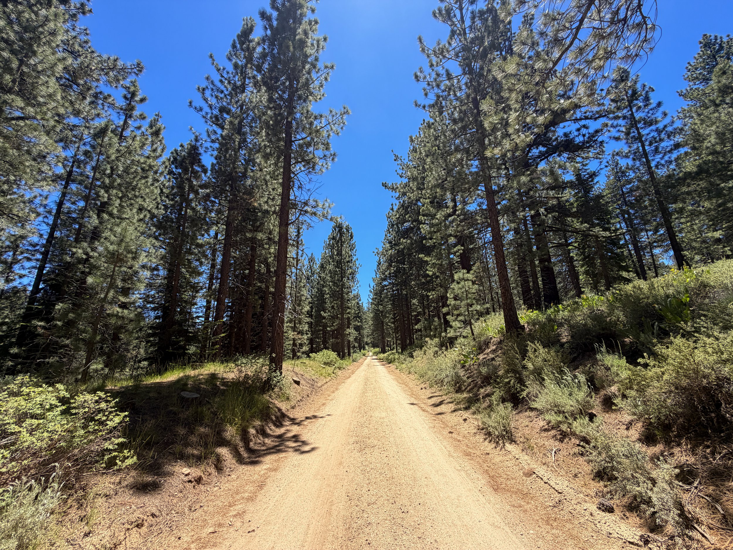 Spooner Lake Loop Trail Lake Tahoe Nevada