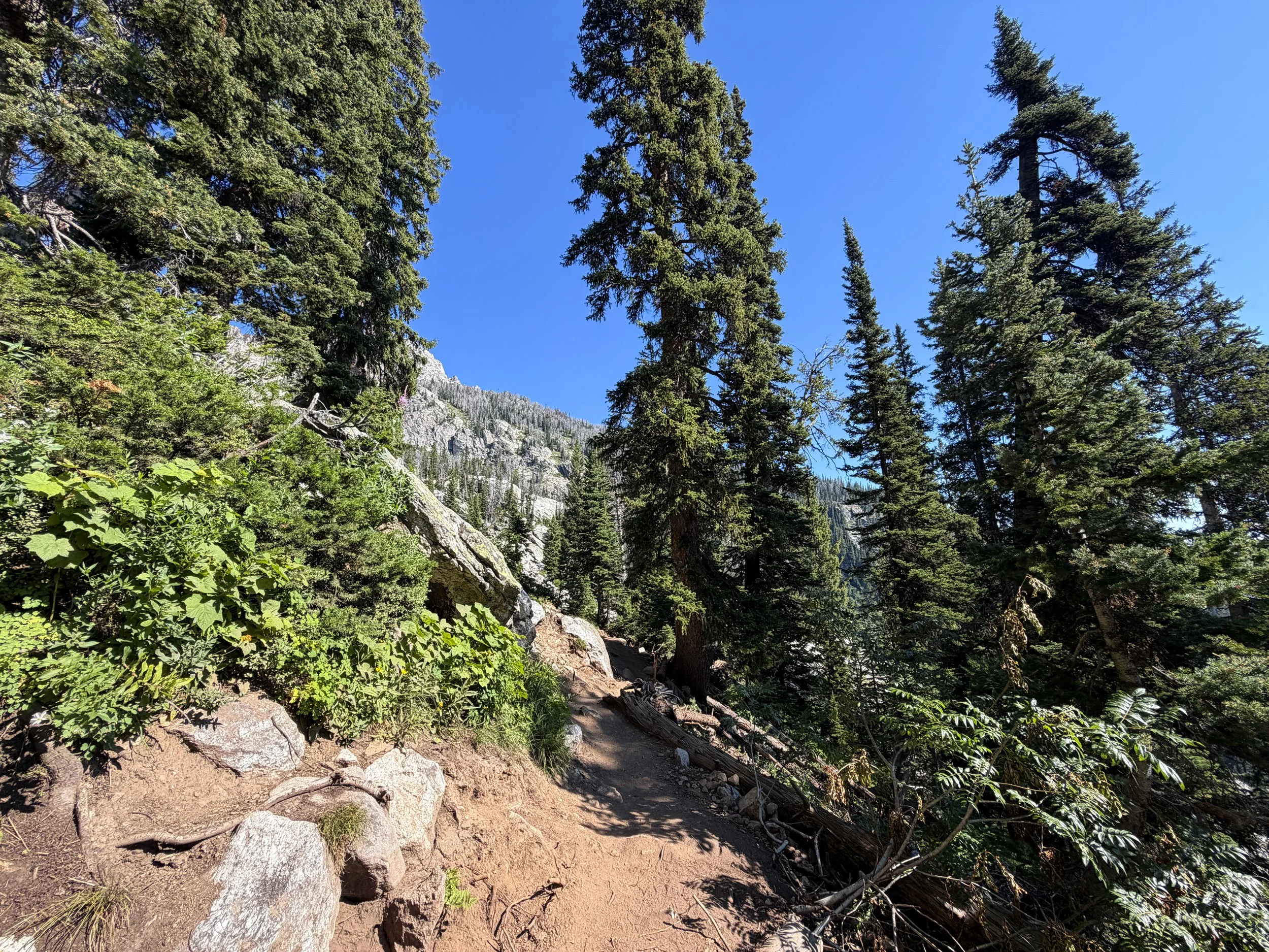 Delta Lake Trail Grand Teton National Park Wyoming