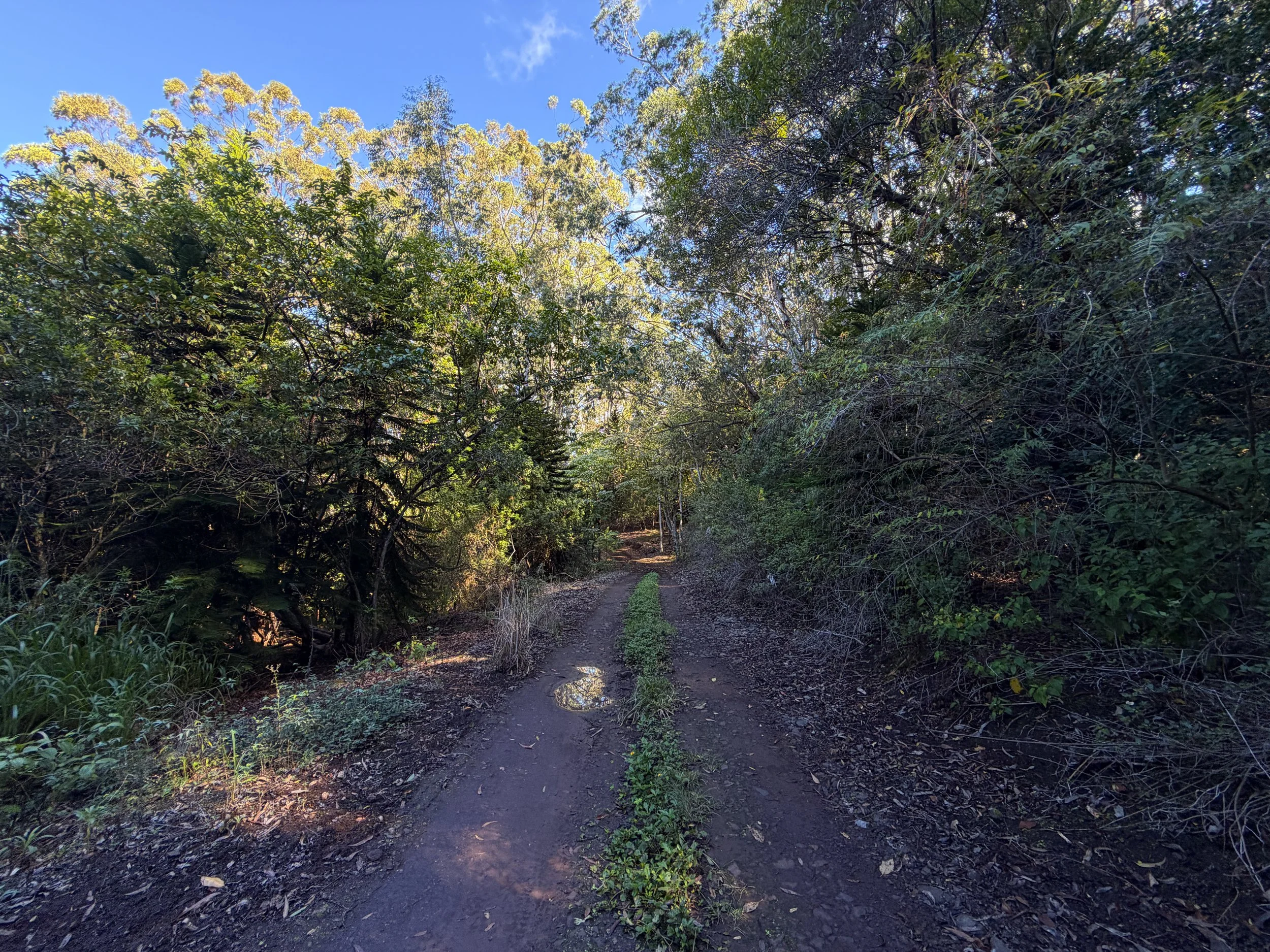 Peacock Flats Campground to Mokuleia Trail Oahu Hawaii