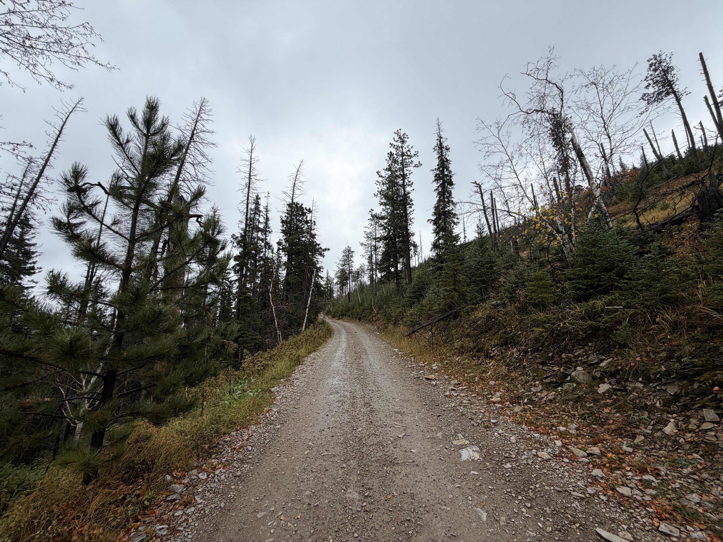 Custer Peak Lookout Hike Black Hills South Dakota