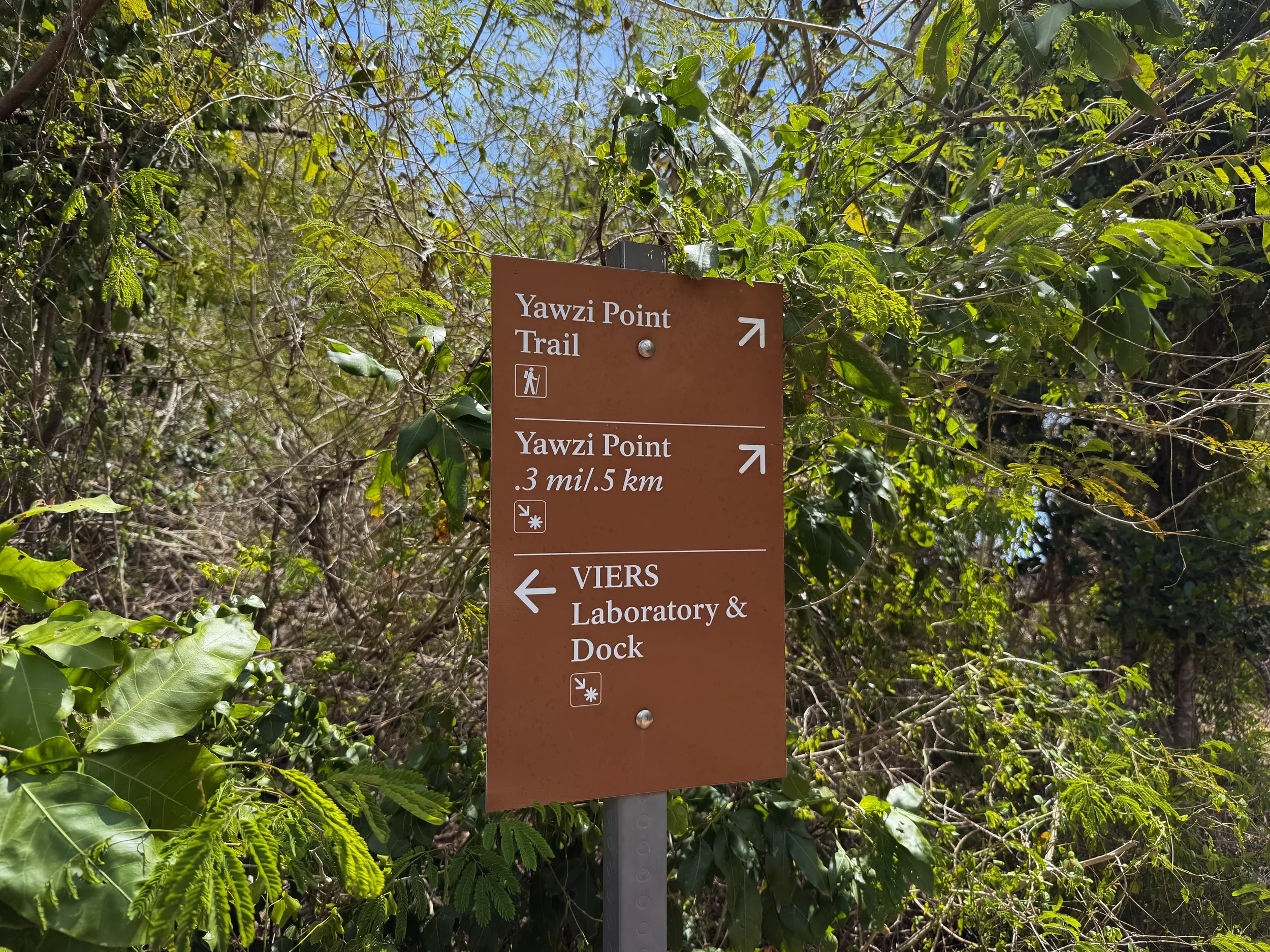 Yawzi Point Trailhead Virgin Islands National Park