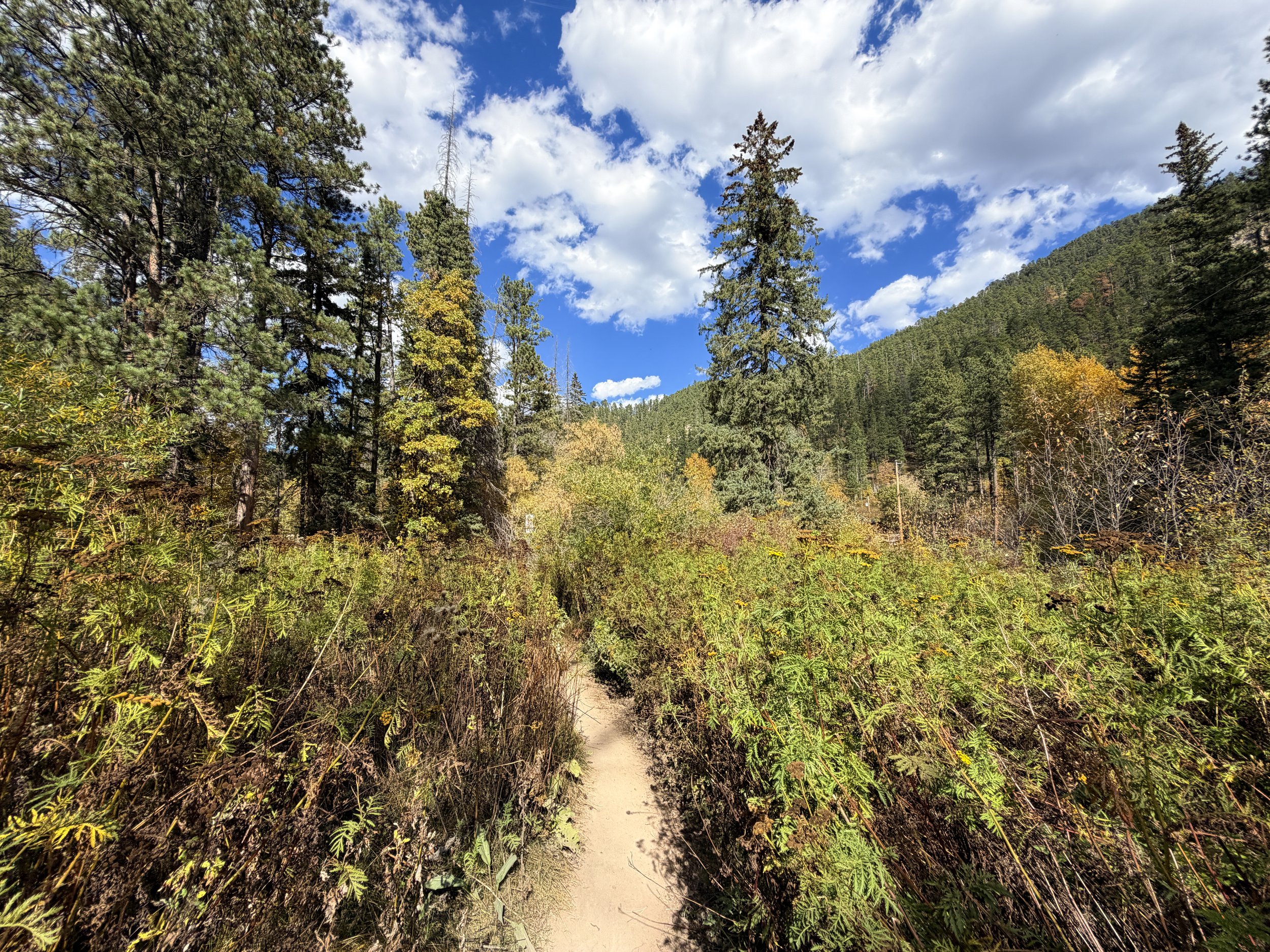 Devils Bathtub Trail Spearfish Canyon Black Hills South Dakota