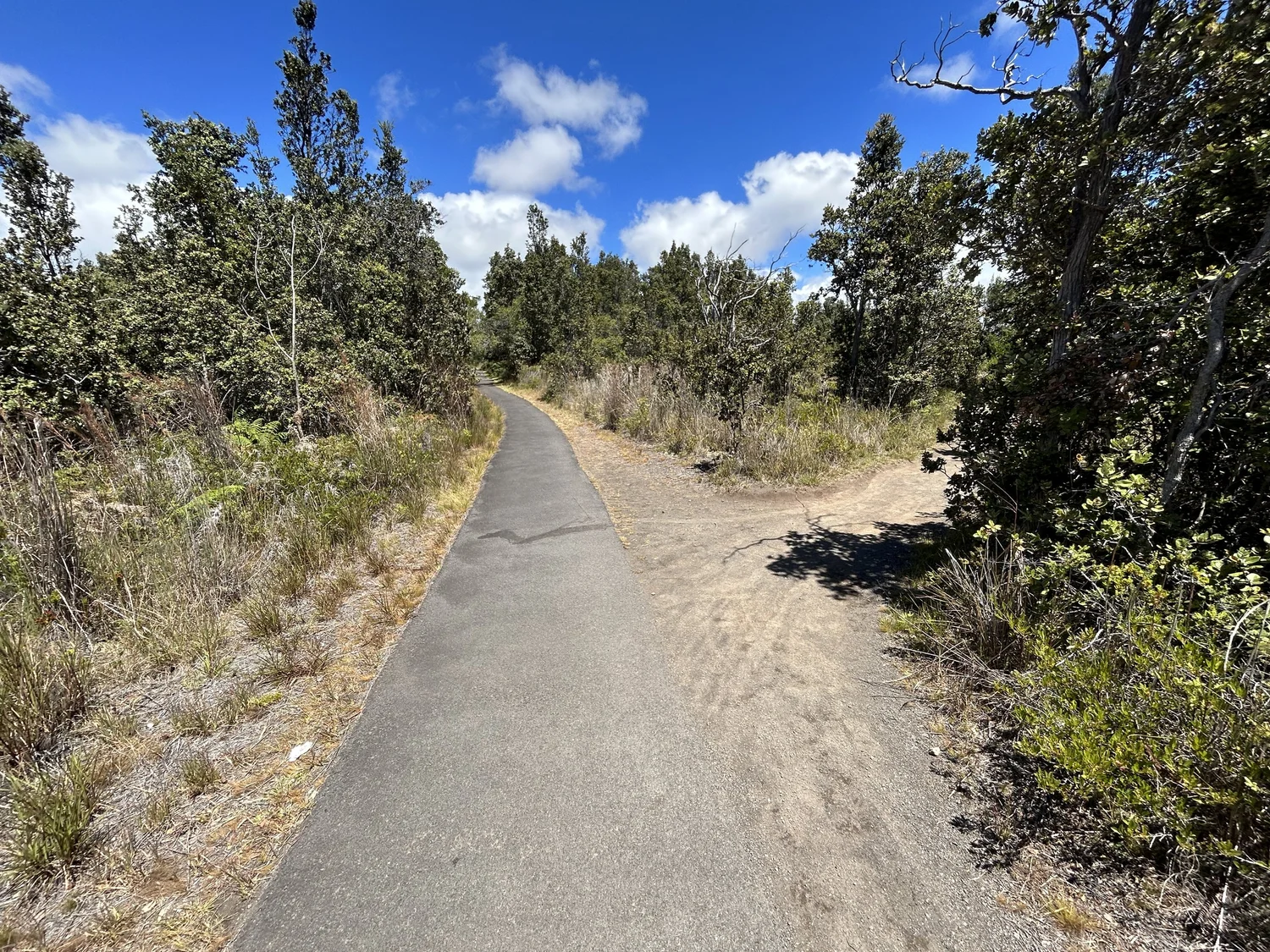 Hiking the Crater Rim Trail in Hawaiʻi Volcanoes National Park — noahawaii