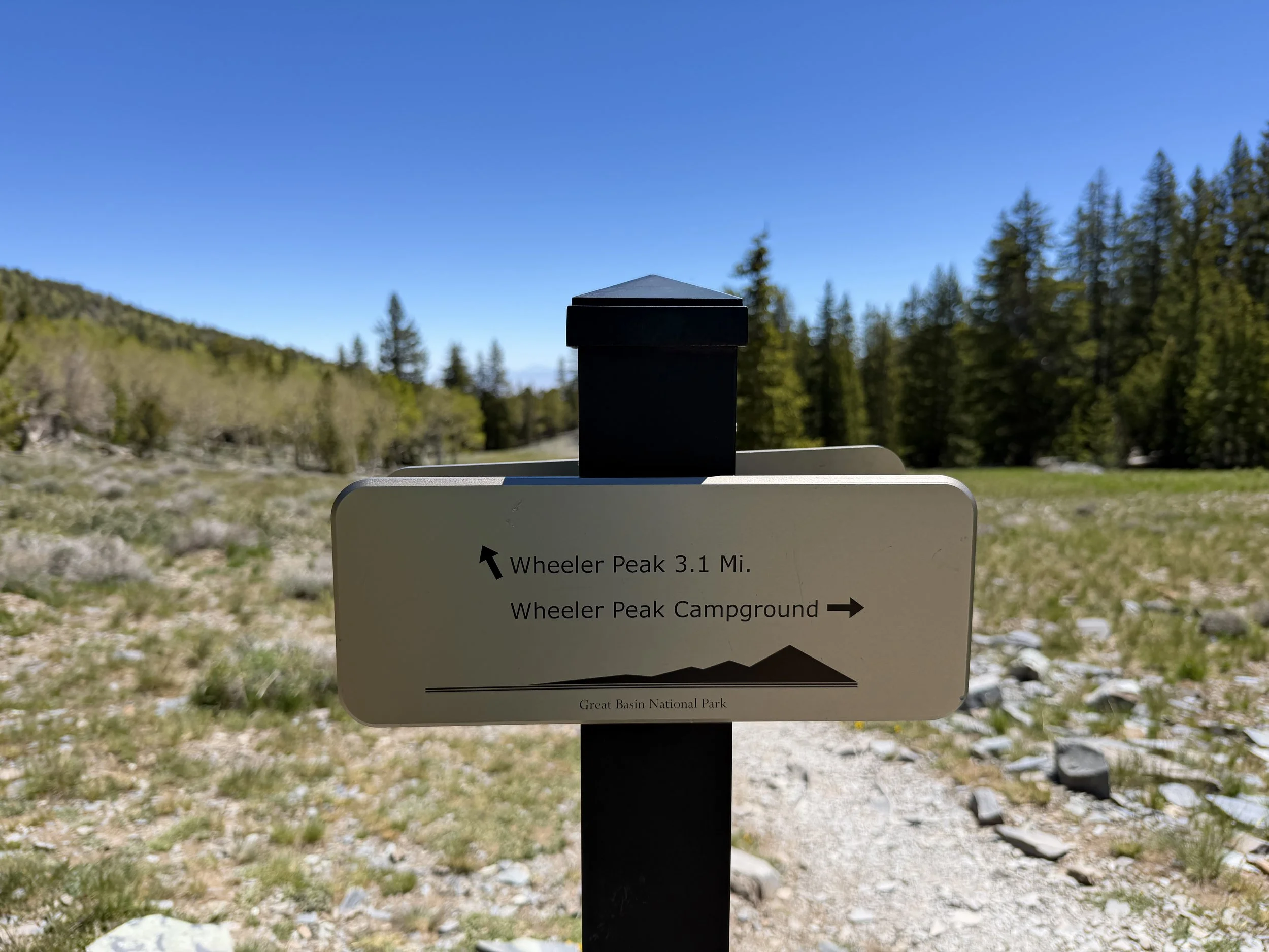 Wheeler Peak Trail Great Basin National Park Nevada