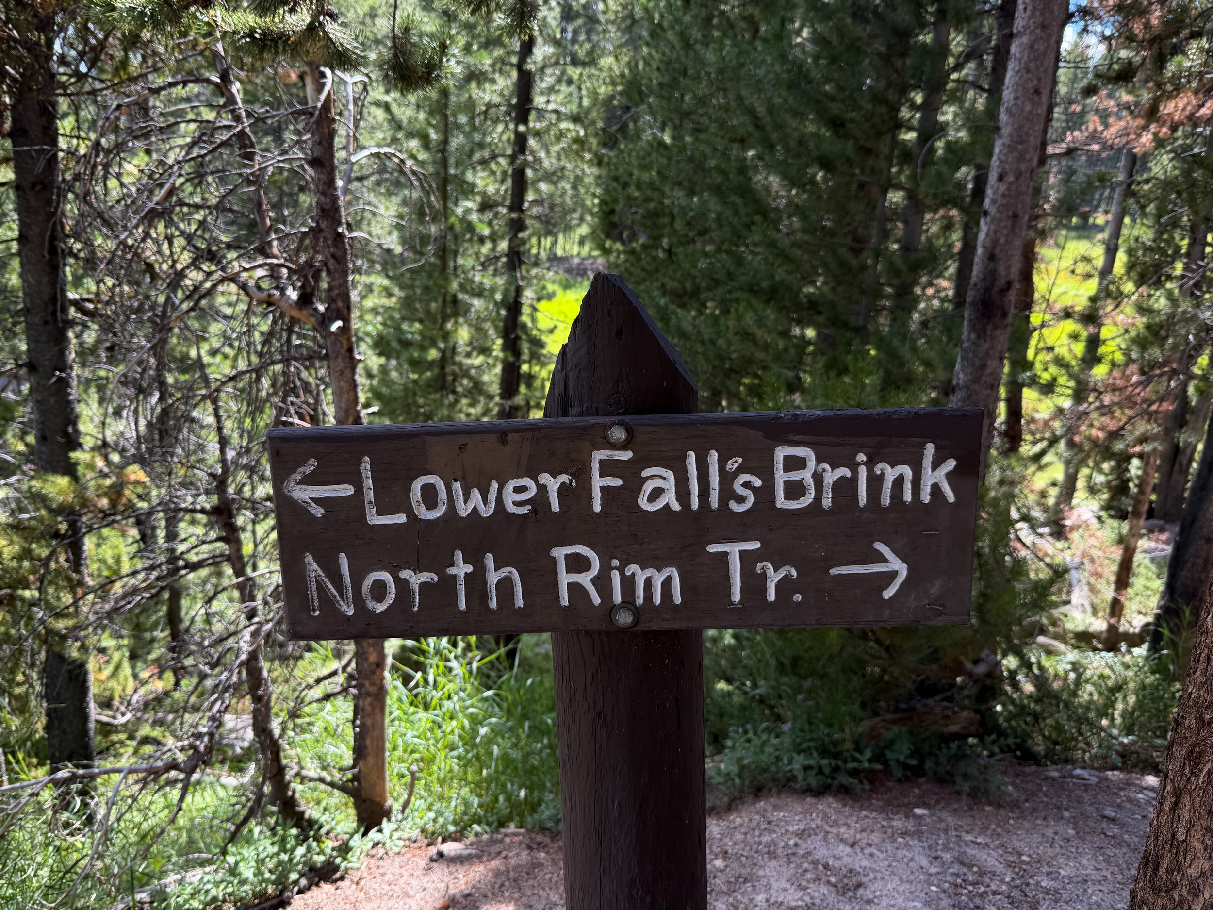 North Rim Hike Yellowstone National Park Wyoming