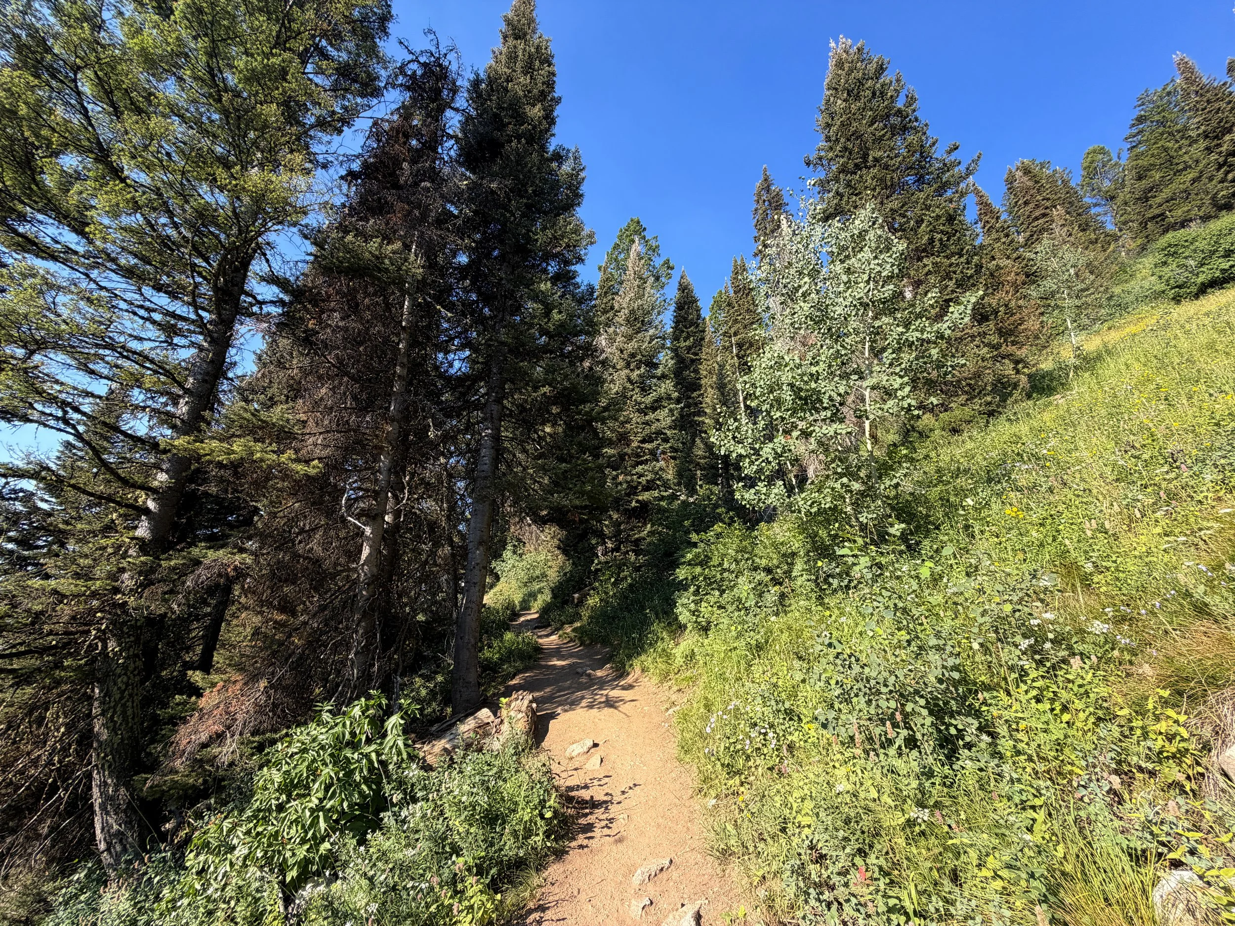 Delta Lake Trail Switchbacks Grand Teton National Park Wyoming