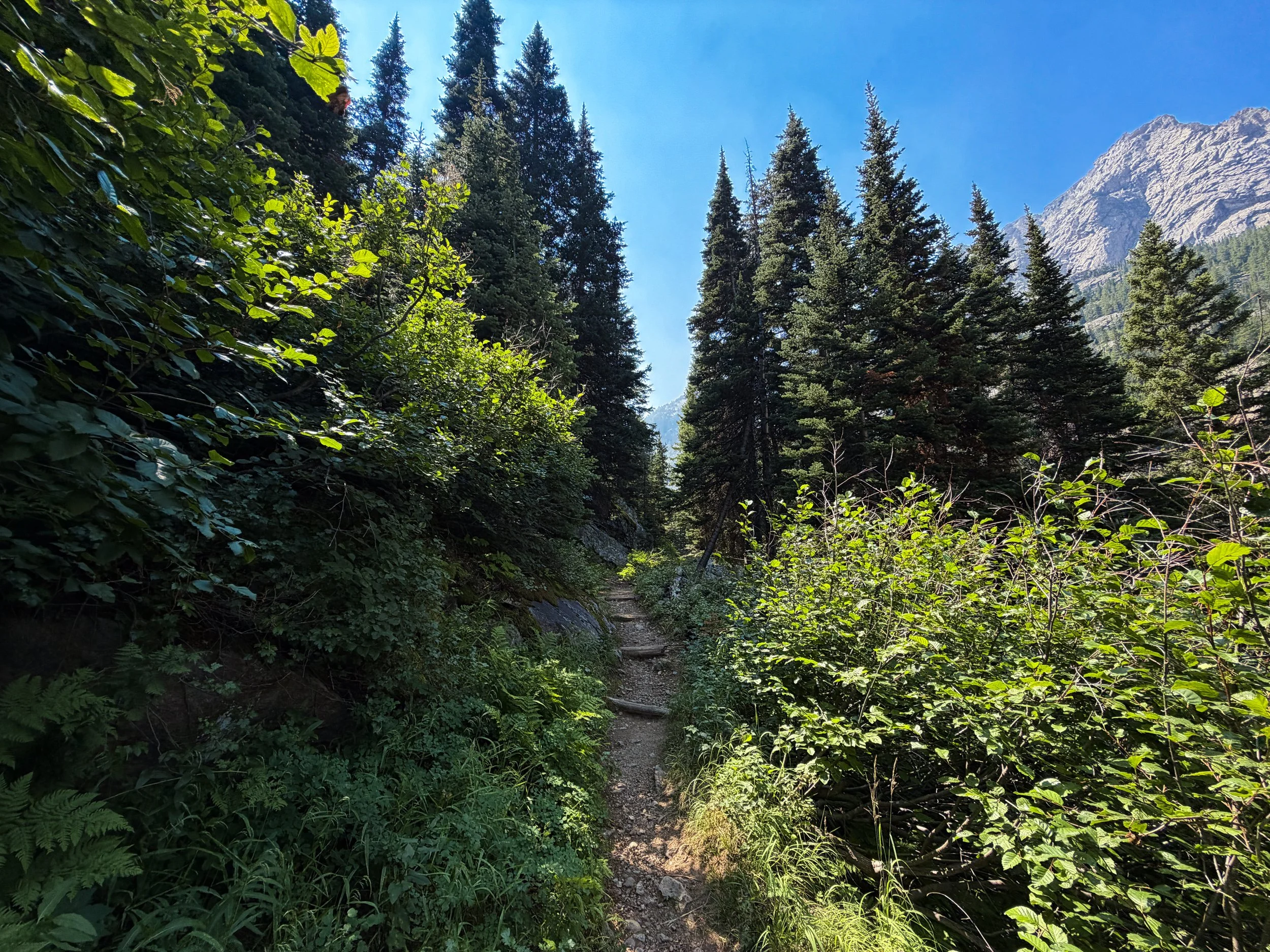 East Rosebud Trail The Beaten Path Beartooth Mountains Montana