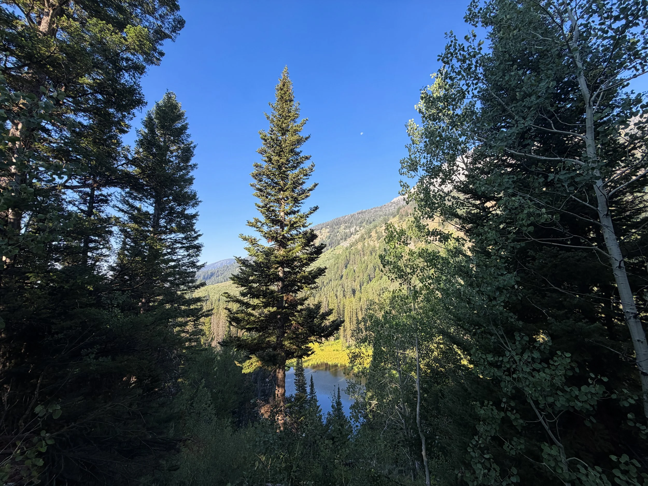 Hidden Falls via Jenny Lake Trail Grand Teton National Park Wyoming