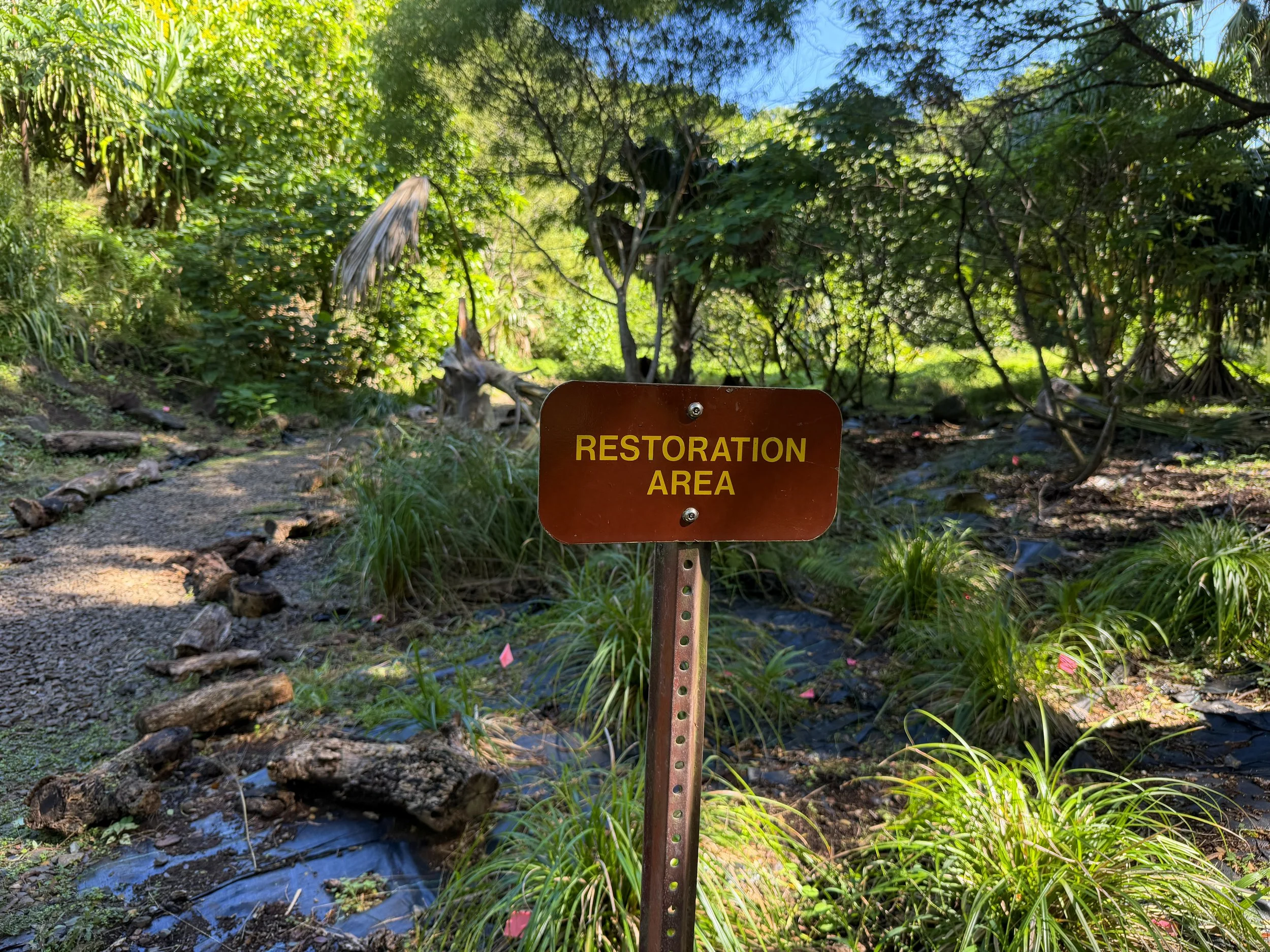 Tripler Ridge Trail via Moanalua Valley Oahu Hawaii