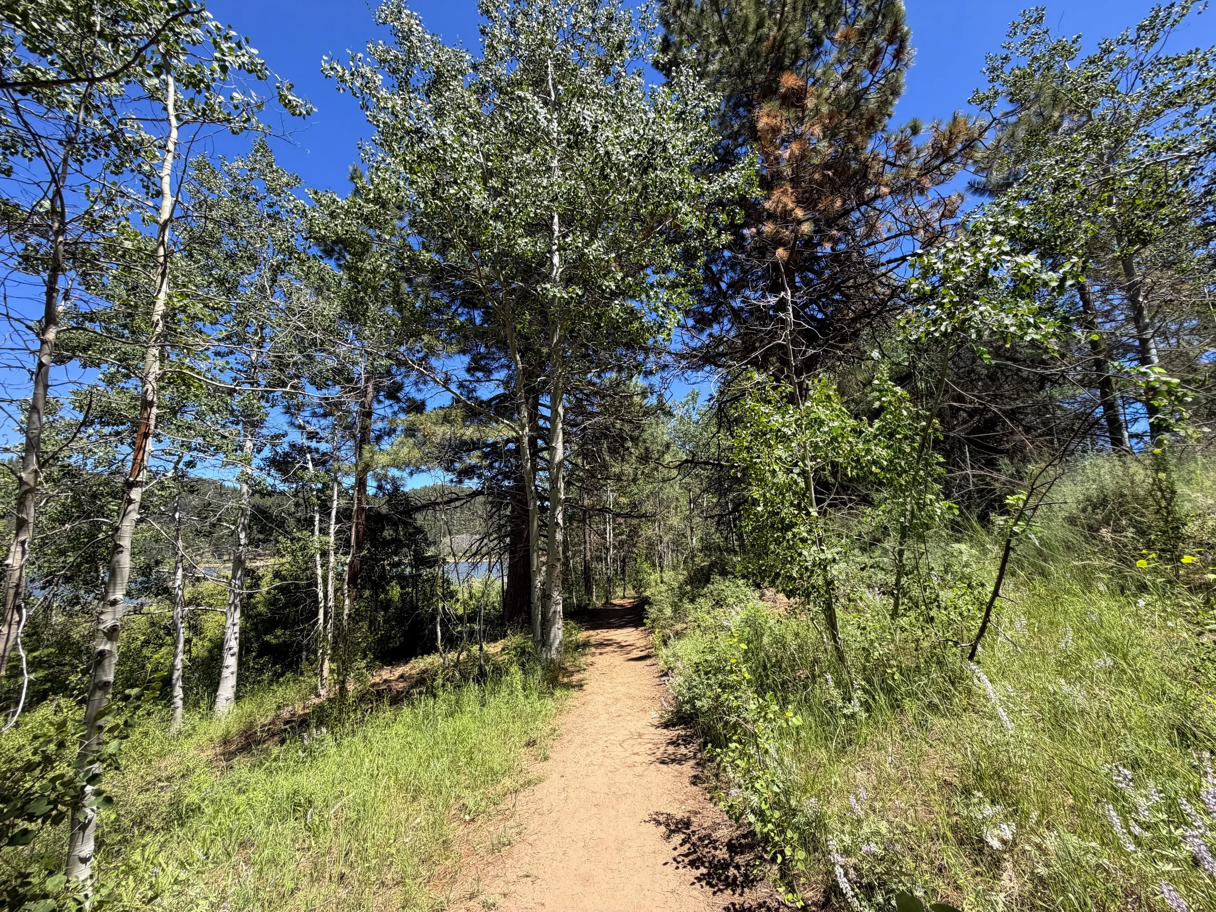 Spooner Lake Loop Trail Lake Tahoe Nevada