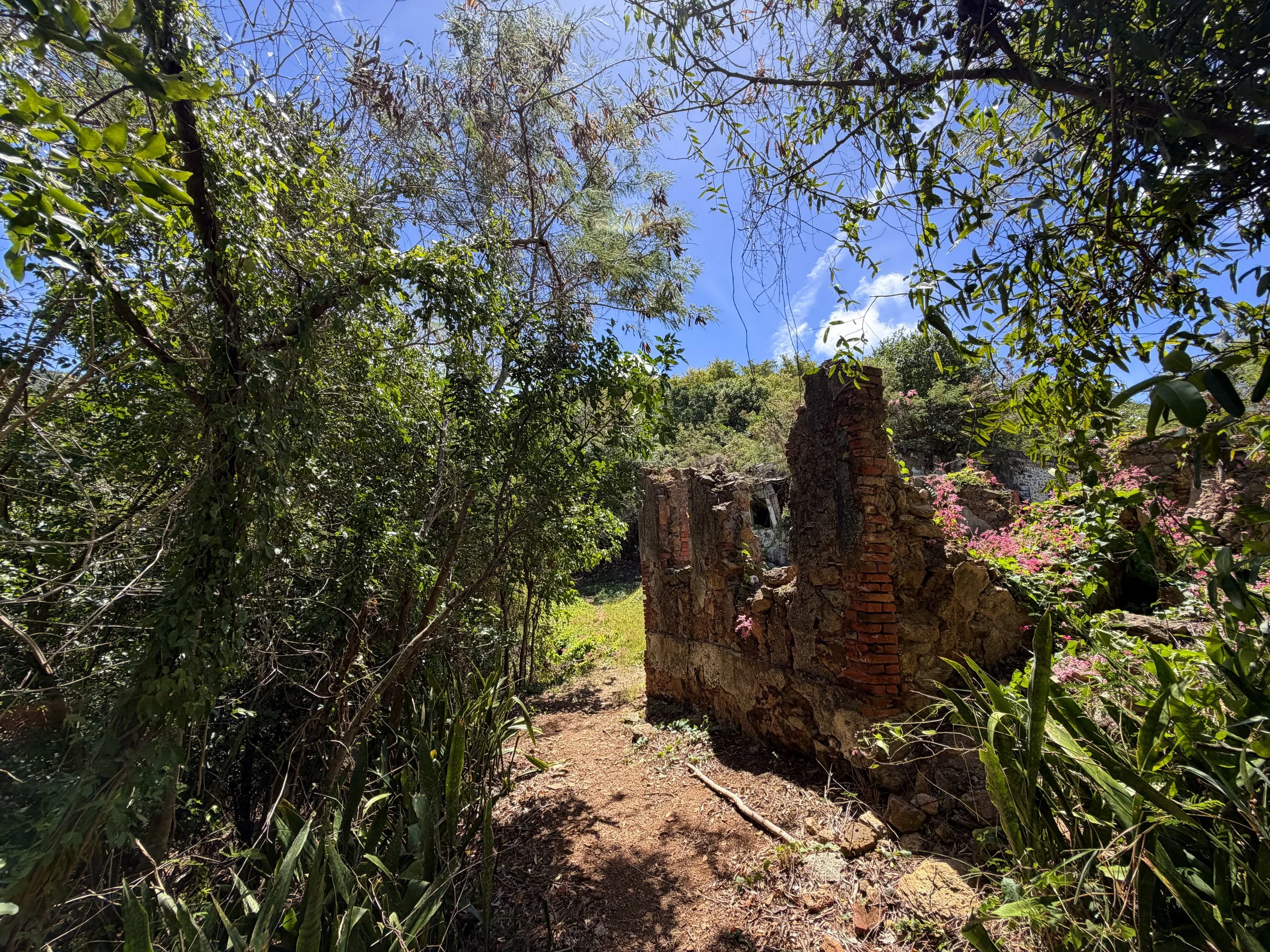 Reef Bay Great House Lameshur Bay Trail Virgin Islands National Park