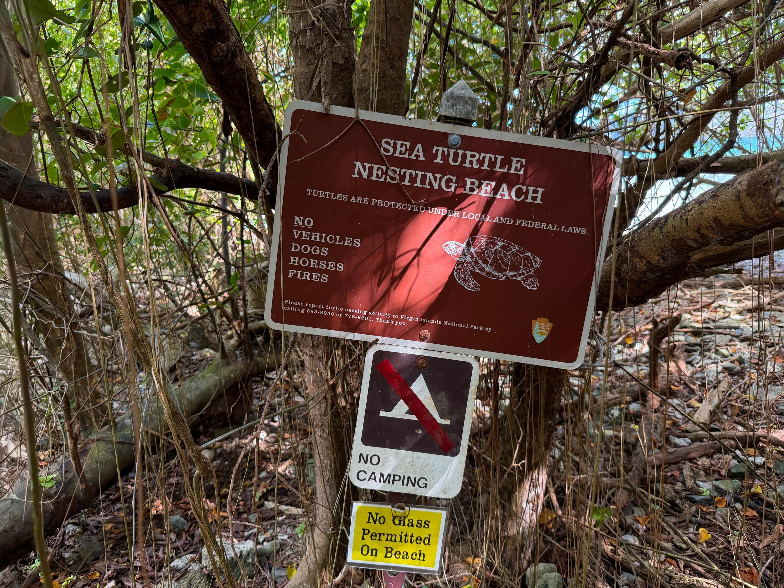 Brown Bay Beach Trail Virgin Islands National Park