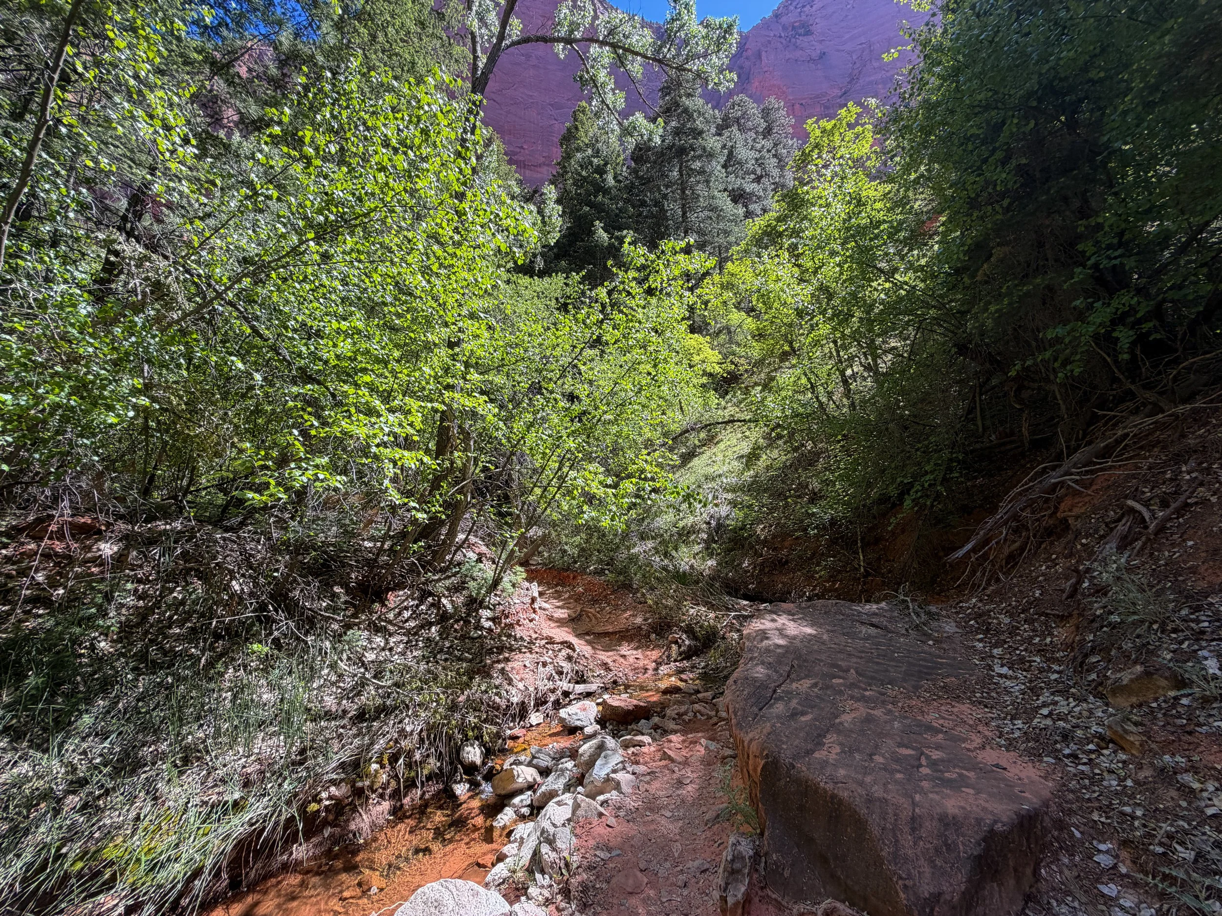 Taylor Creek Trail Zion National Park Utah