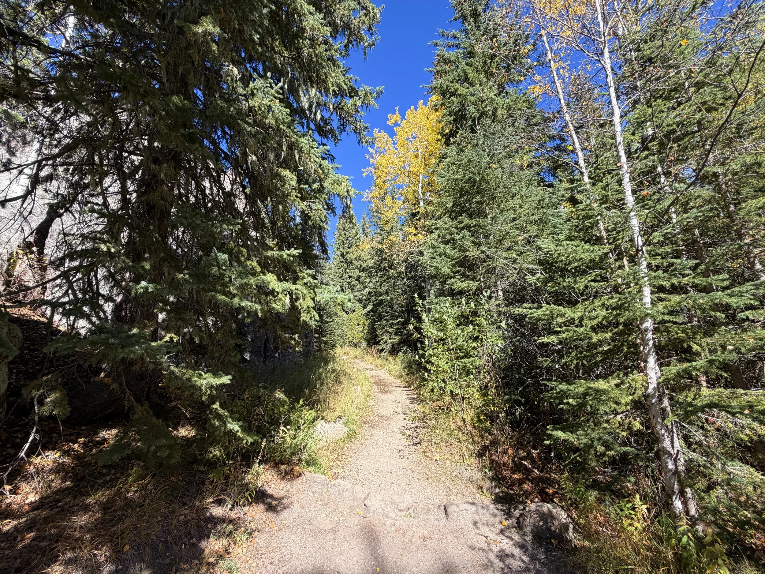 Black Elk Peak via Trail 9 Black Hills South Dakota