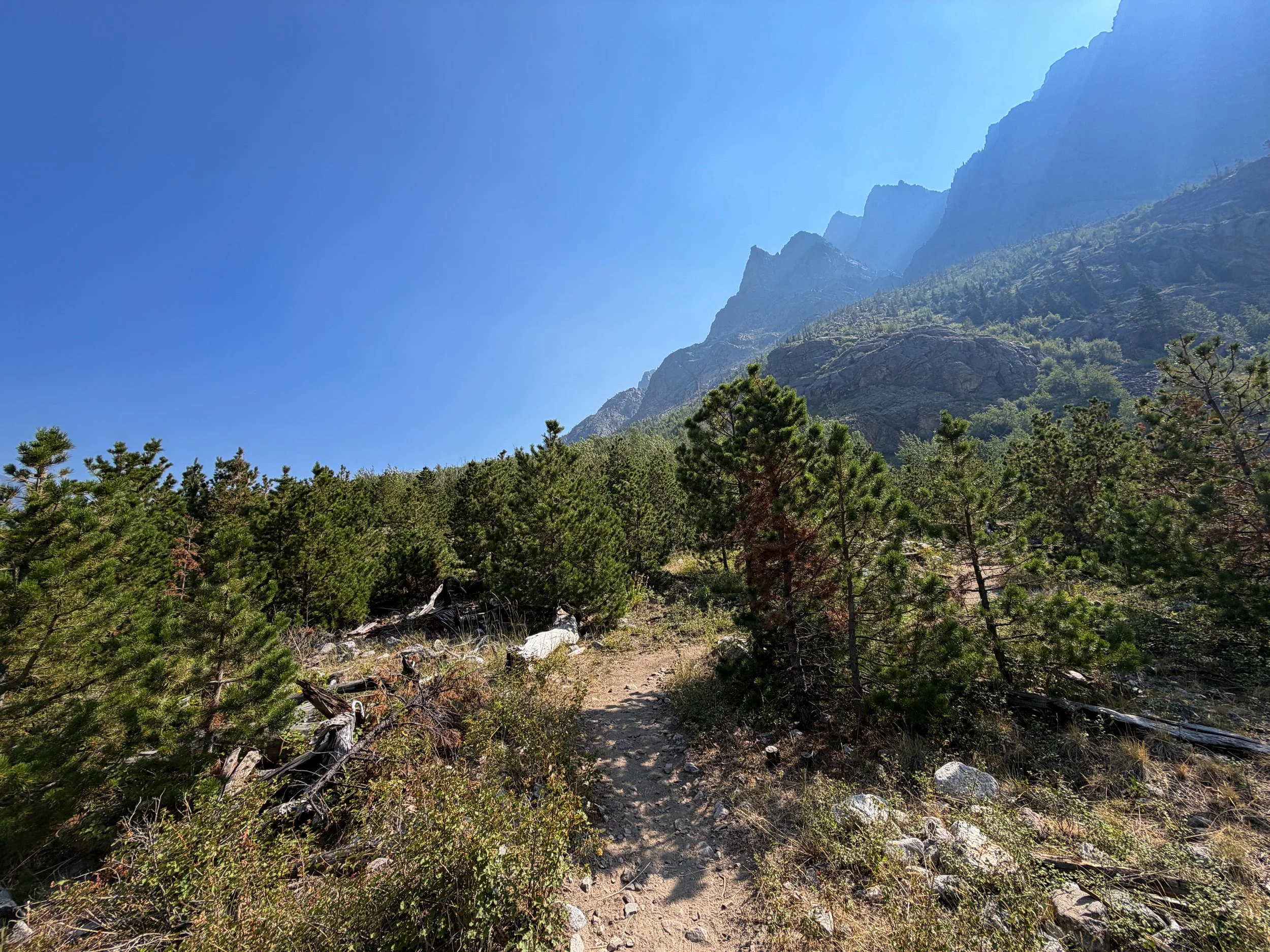 Beaten Path Trail Beartooth Mountains Montana