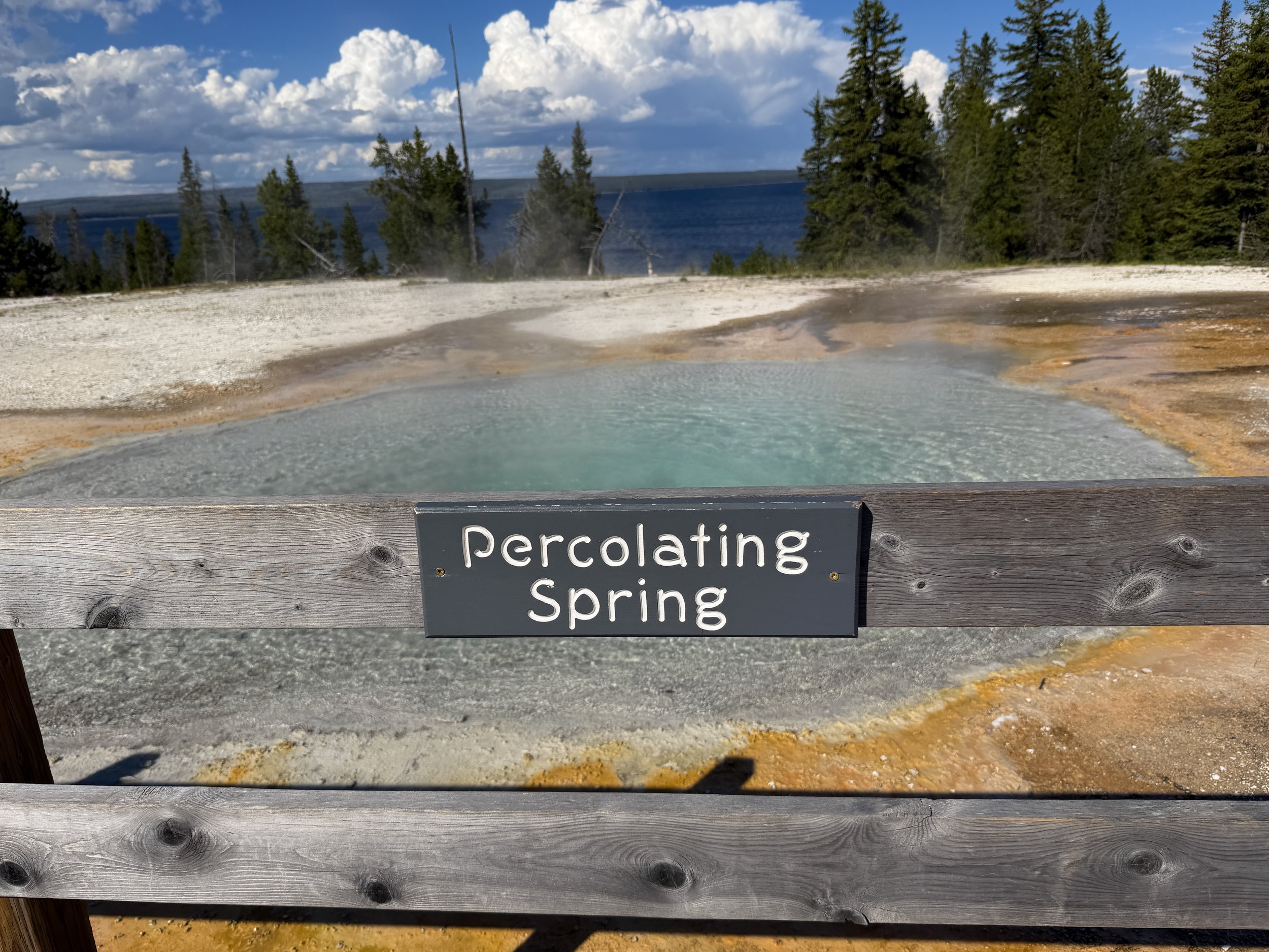 Percolating Spring West Thumb Geyser Basin Trail Yellowstone National Park Wyoming