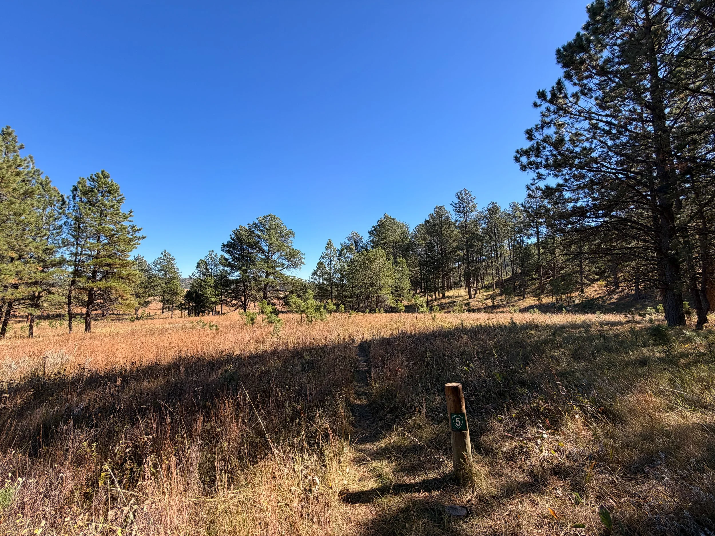 Sanctuary Trail Wind Cave National Park South Dakota