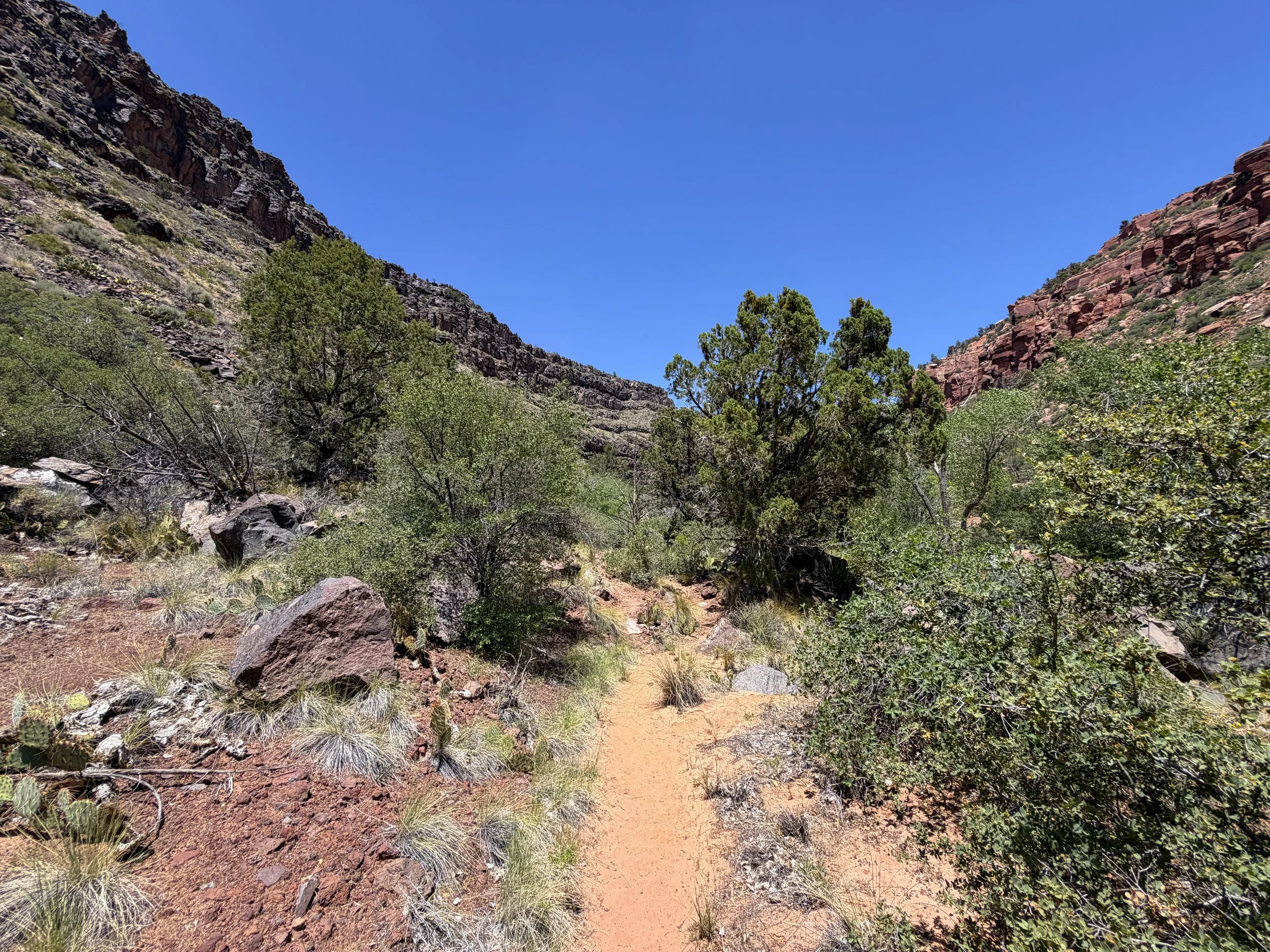 Grapevine Trail to Left Fork Falls Zion National Park Utah
