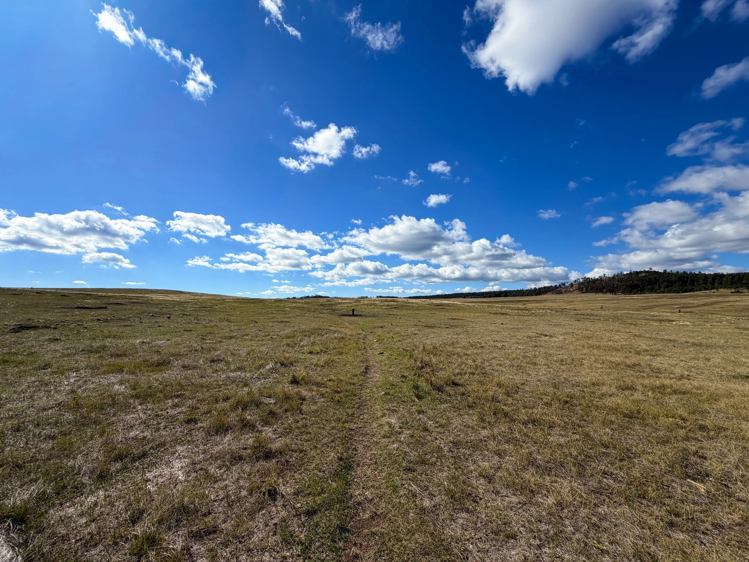 Lookout Point Loop Trail Wind Cave National Park South Dakota
