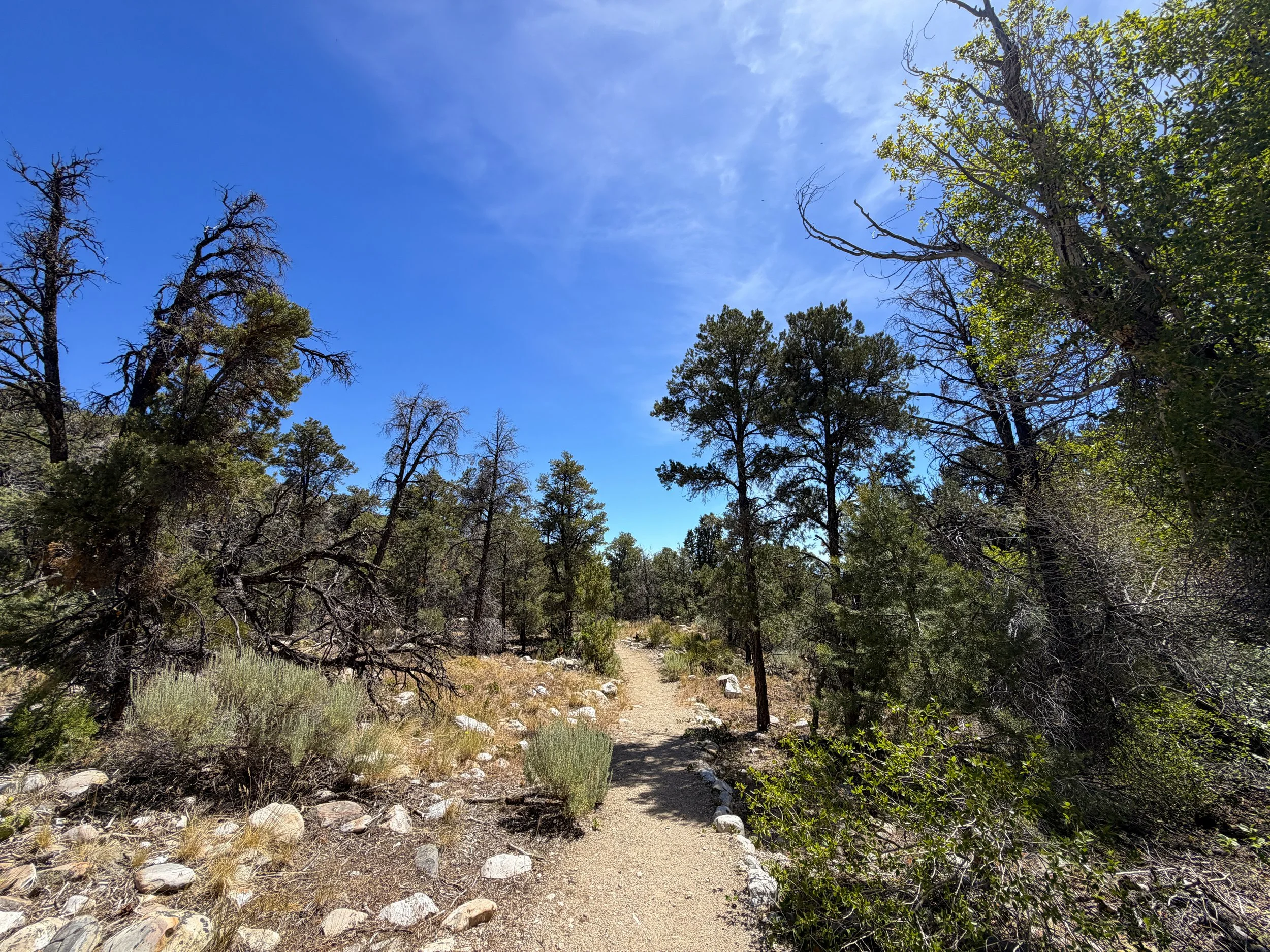 Pole Canyon Loop Trail Great Basin National Park Nevada
