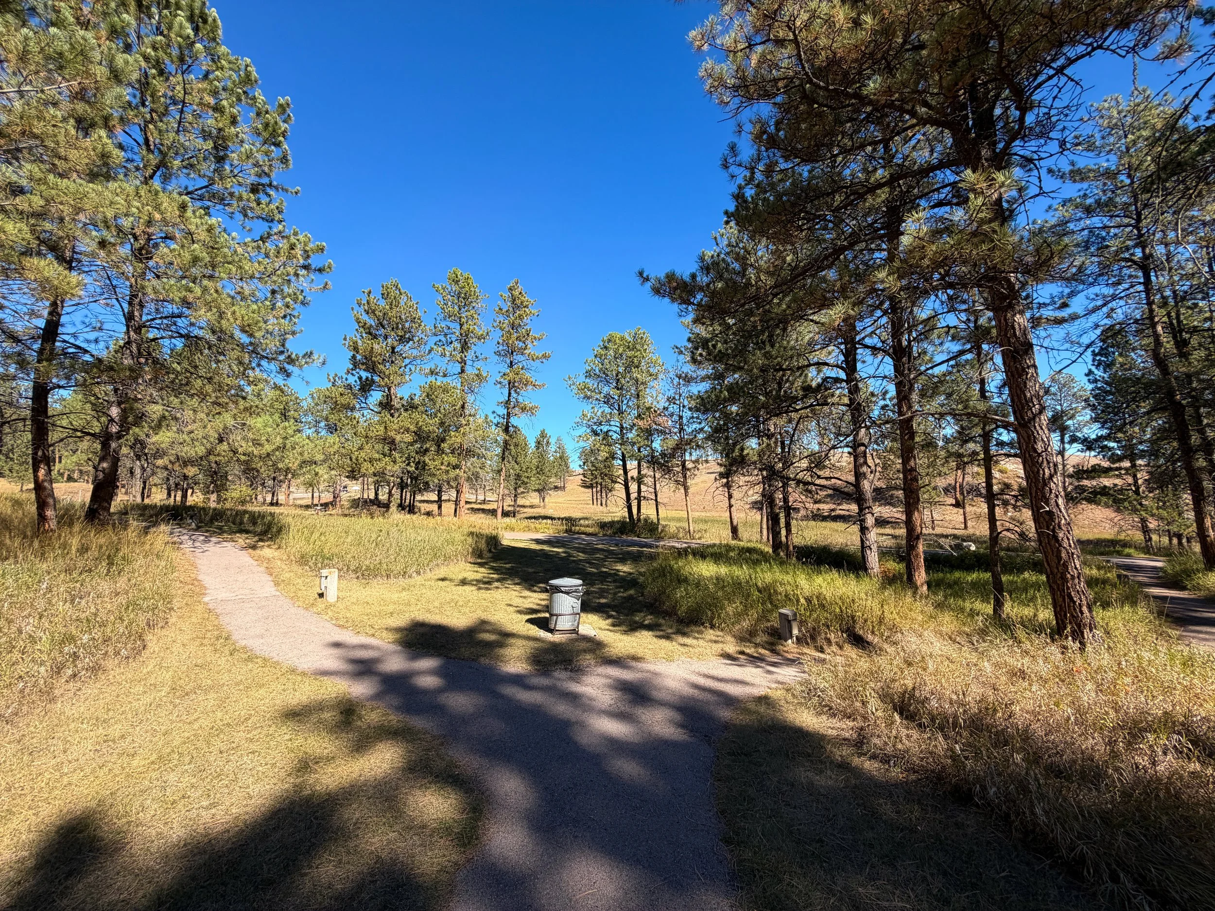 Elk Mountain Trail Wind Cave National Park South Dakota