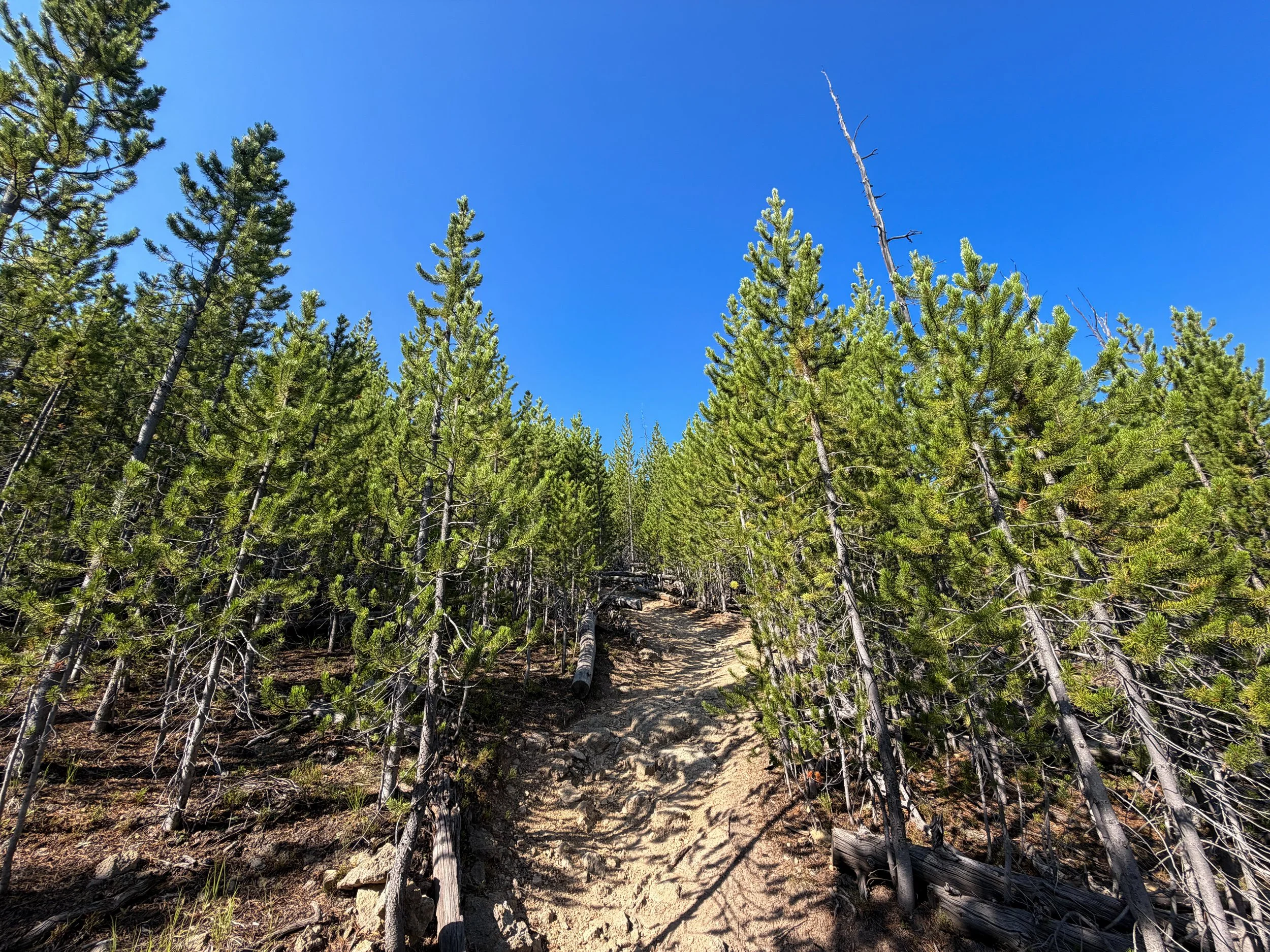 Monument Geyser Basin Trail Yellowstone National Park Wyoming