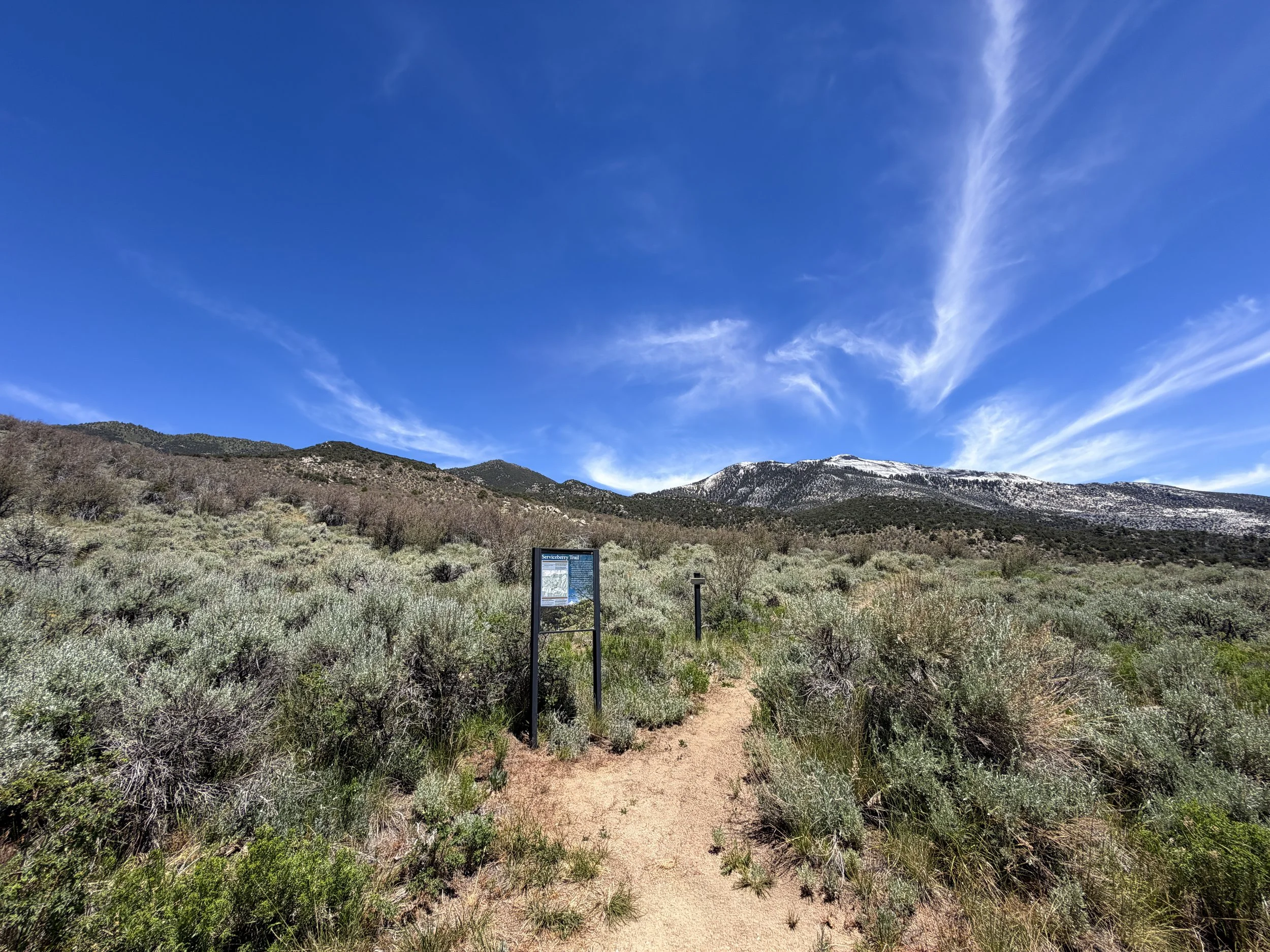 Serviceberry Loop Trailhead Great Basin National Park Nevada